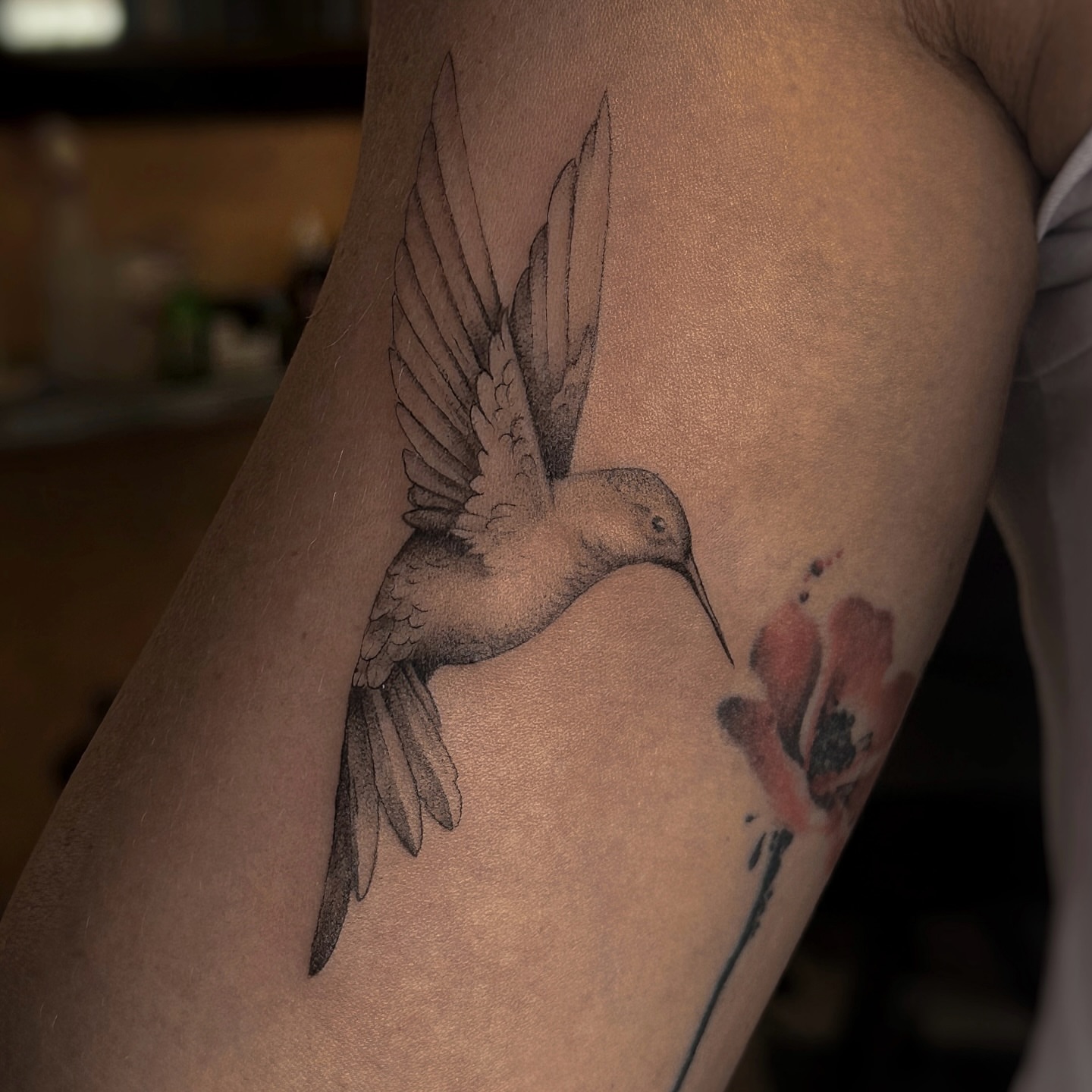 Hummingbird dotwork tattoo on the forearm by Lily K.