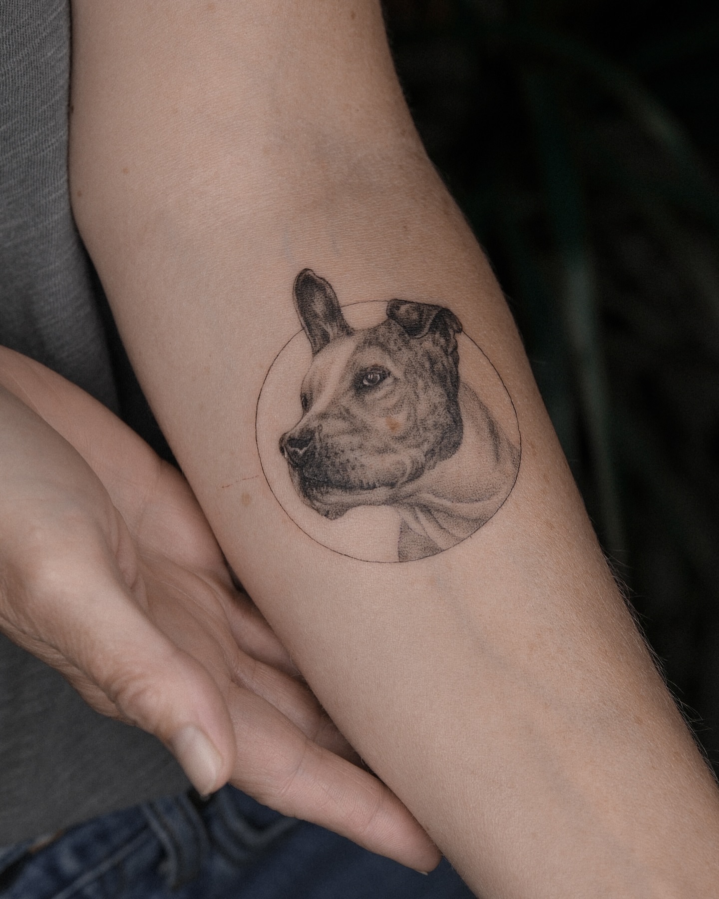 Dog portrait realism tattoo on the forearm by Kate