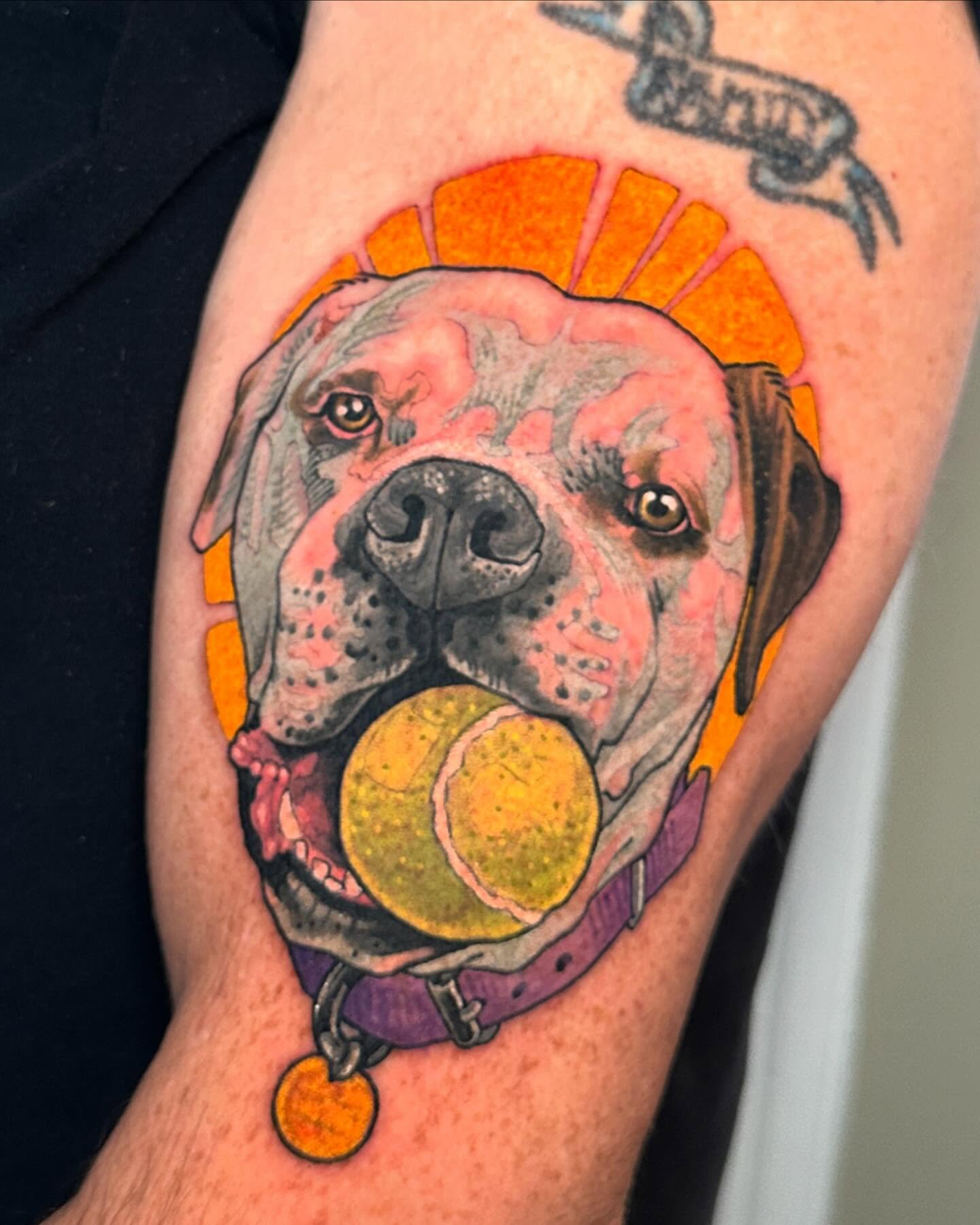 Dog with tennis ball realism tattoo on the forearm by Claire Evans, San Francisco, California