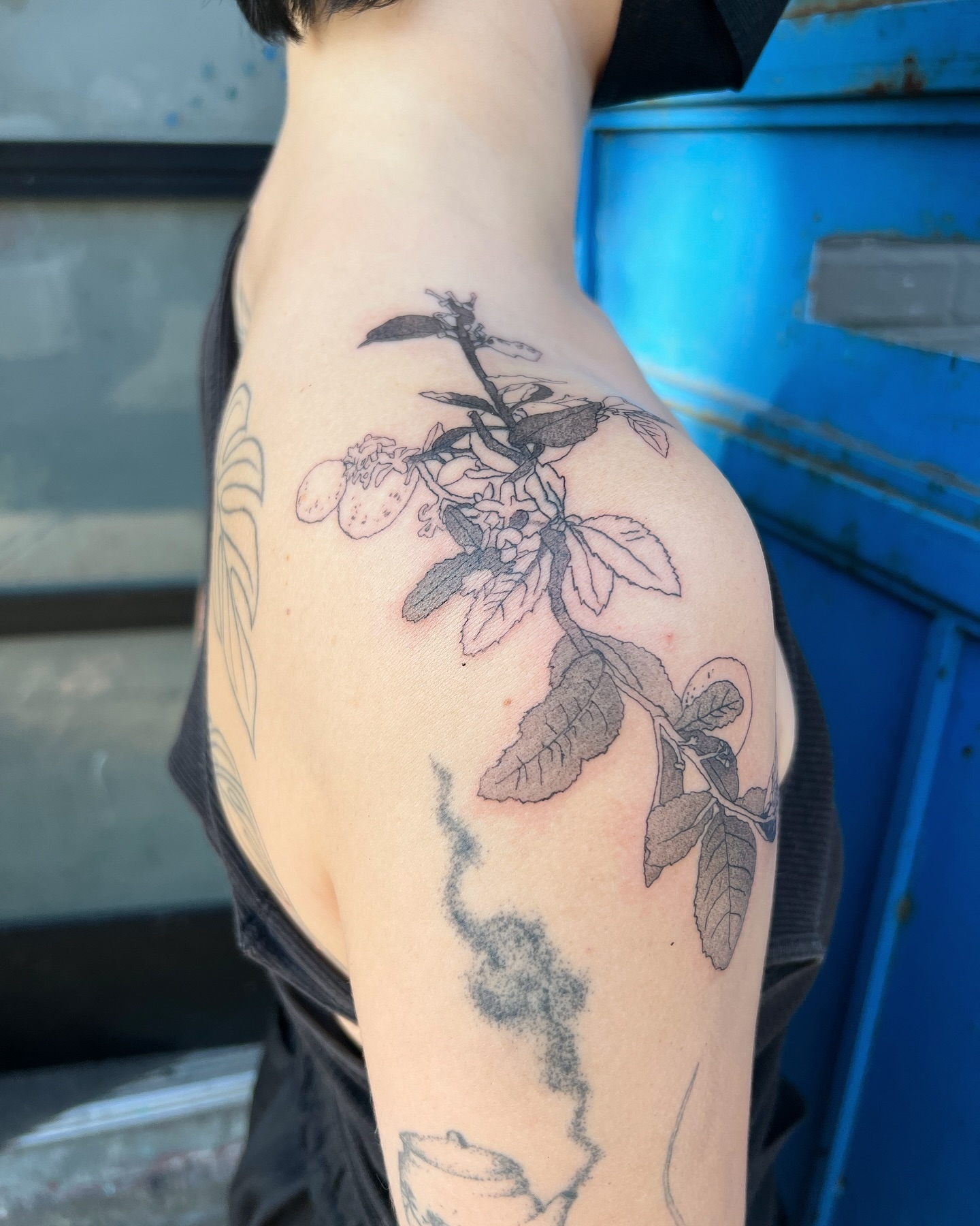 Botanical branch realism tattoo on the shoulder by 잡초