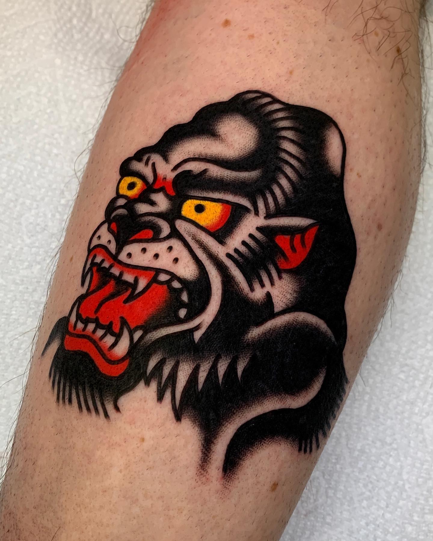 Angry bulldog American traditional tattoo on the forearm by Zachary - Traditional Tattoo Artist