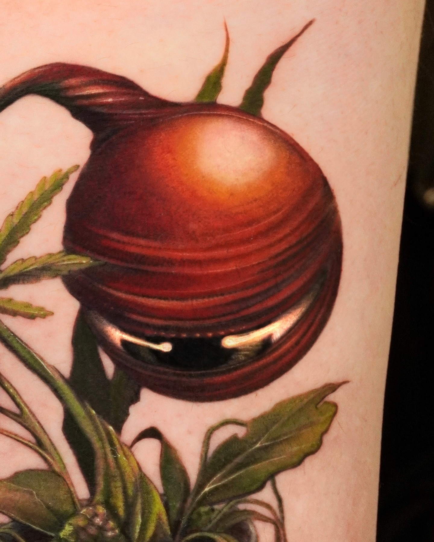 Snail shell realism tattoo on the forearm by 대구타투 iwol colortattoo realismtattoo
