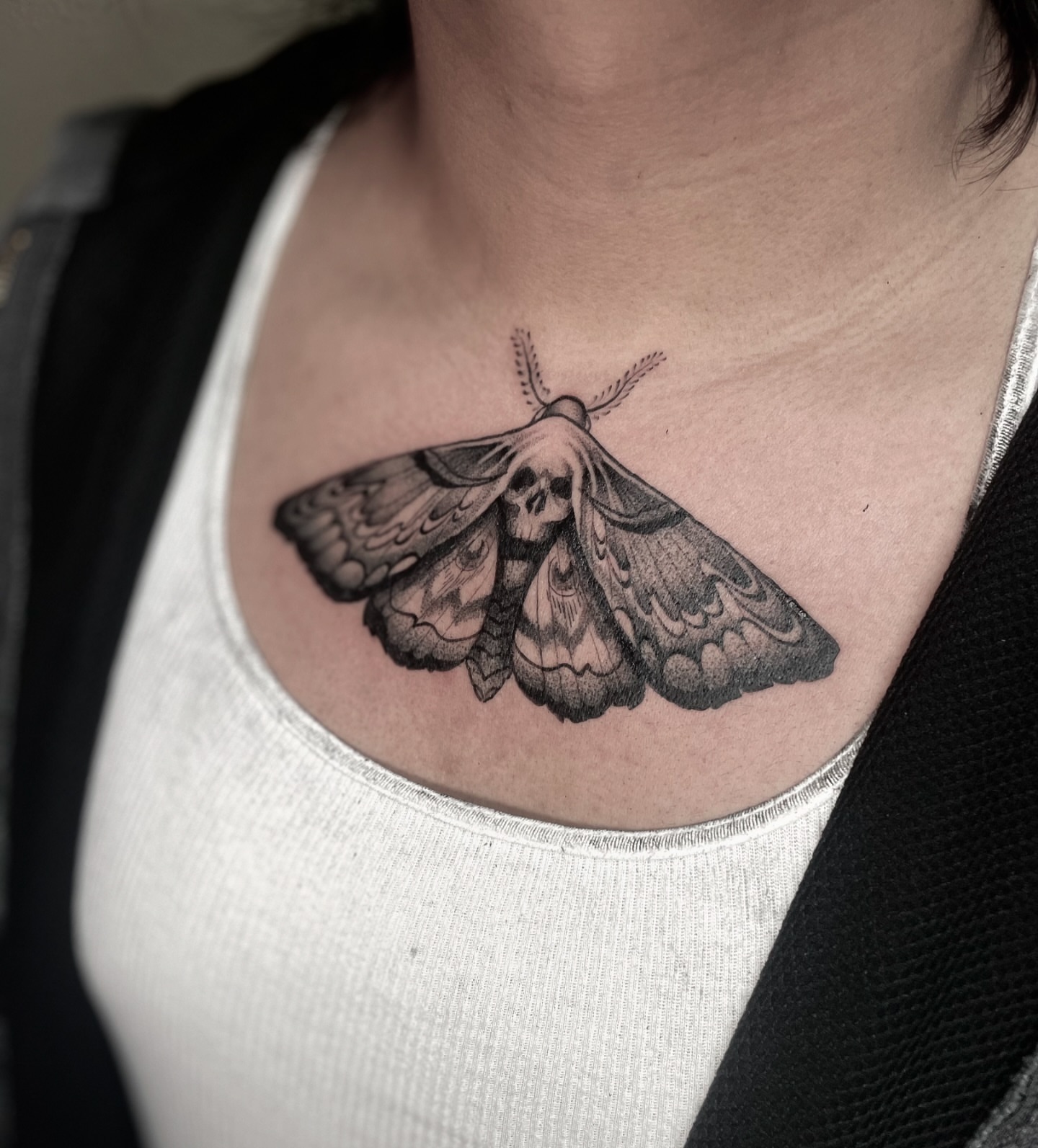 Moth dotwork tattoo on the chest by Bryan