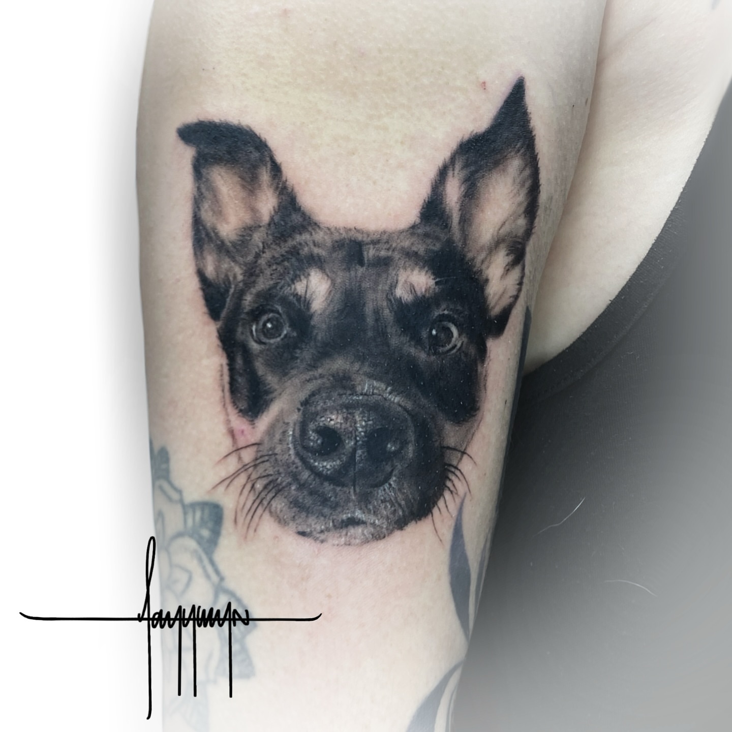 Dog realism tattoo on the forearm by Jazz