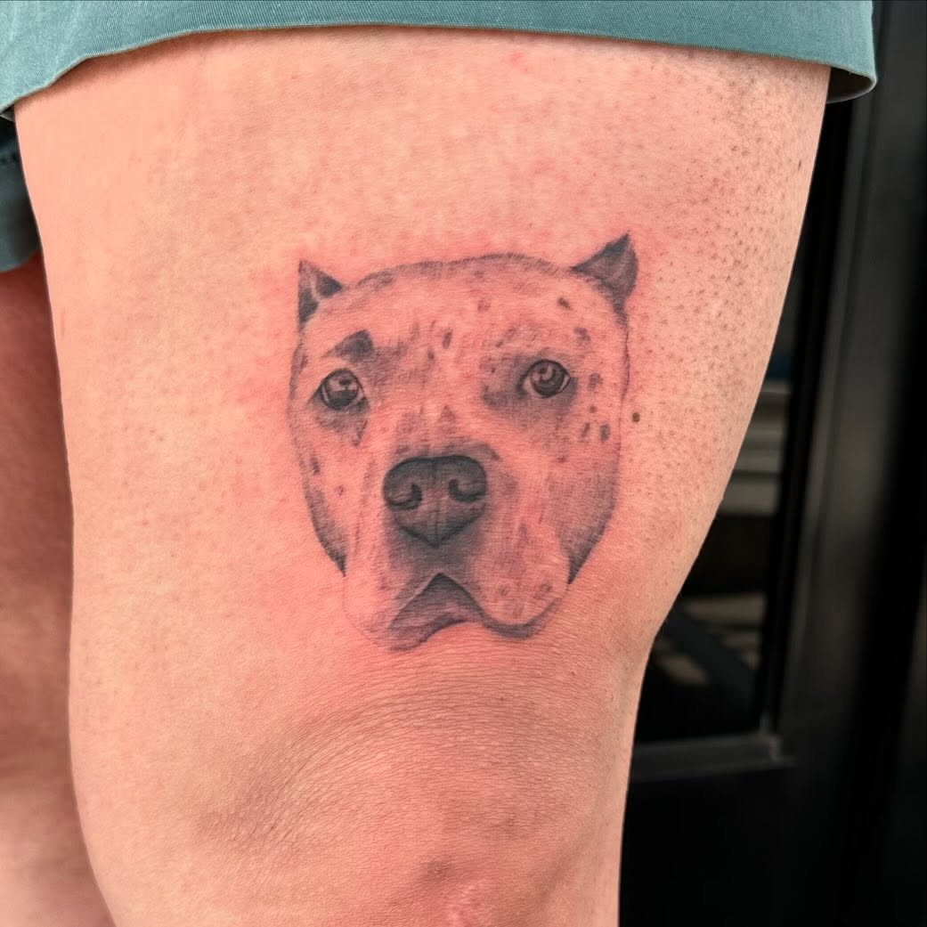 Pit bull realism tattoo on the thigh by Summers