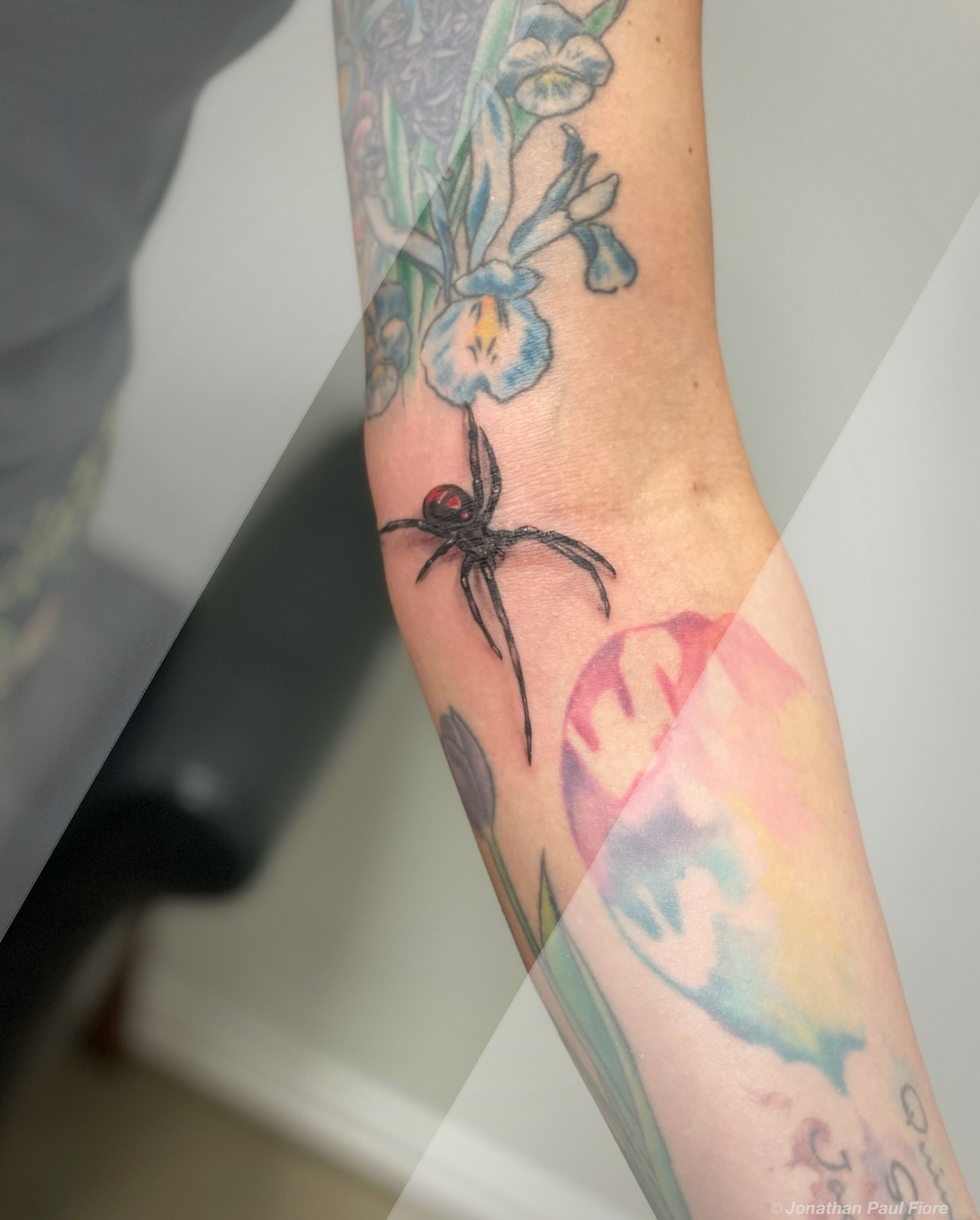 Spider realism tattoo on the forearm by Jonathan Paul Fiore, Austin, Texas
