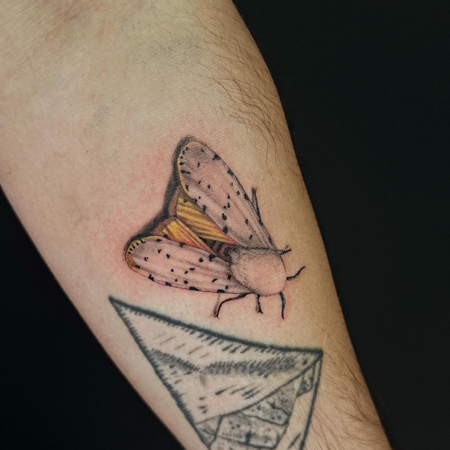 Moth realism tattoo on the forearm by ⠀Joey Rosado