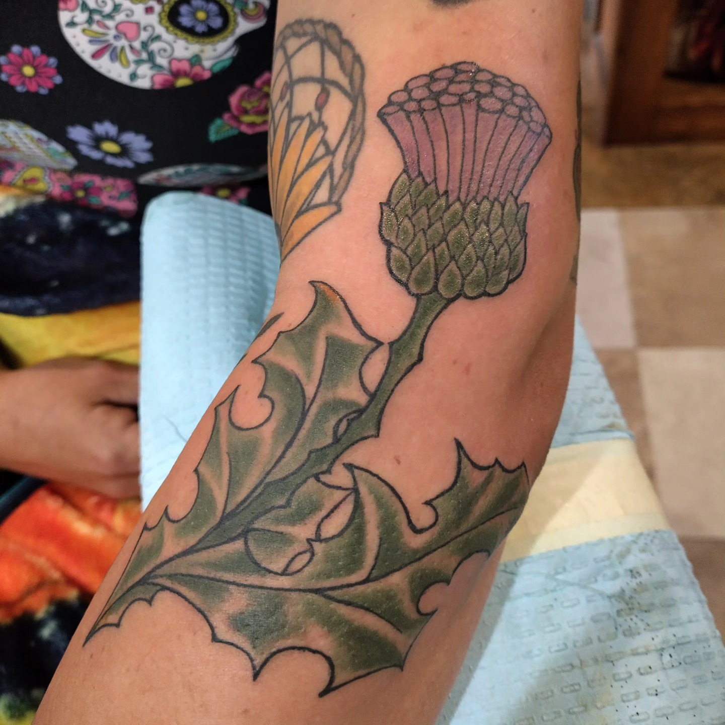 Thistle American traditional tattoo on the forearm by Matt Williamson