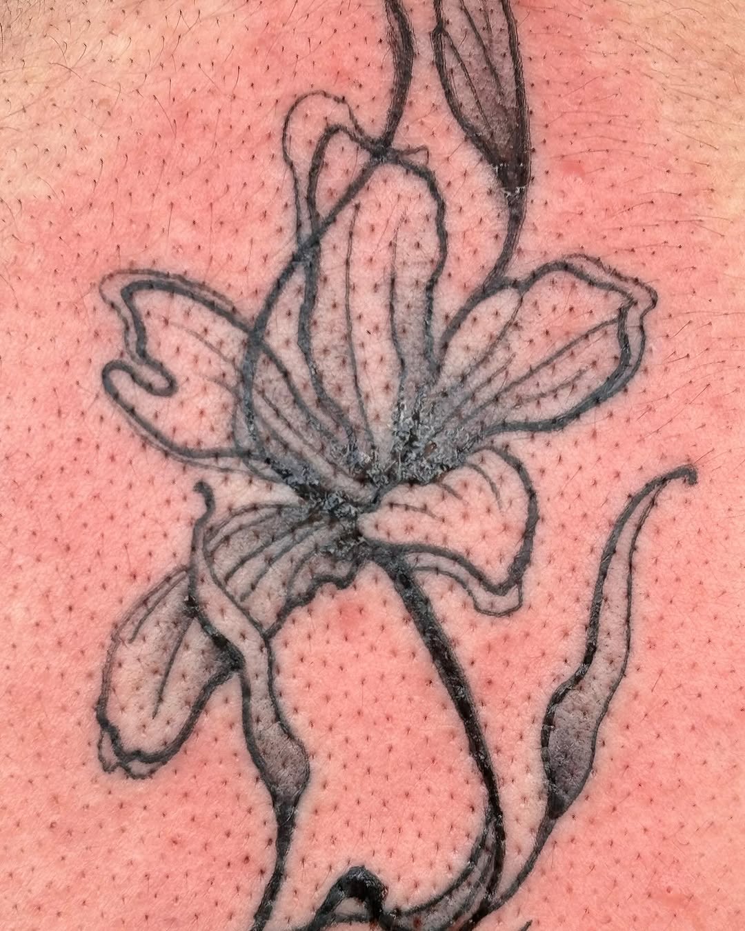 Tattoo by @ares_rhodestattoo — fine_line, black_and_grey