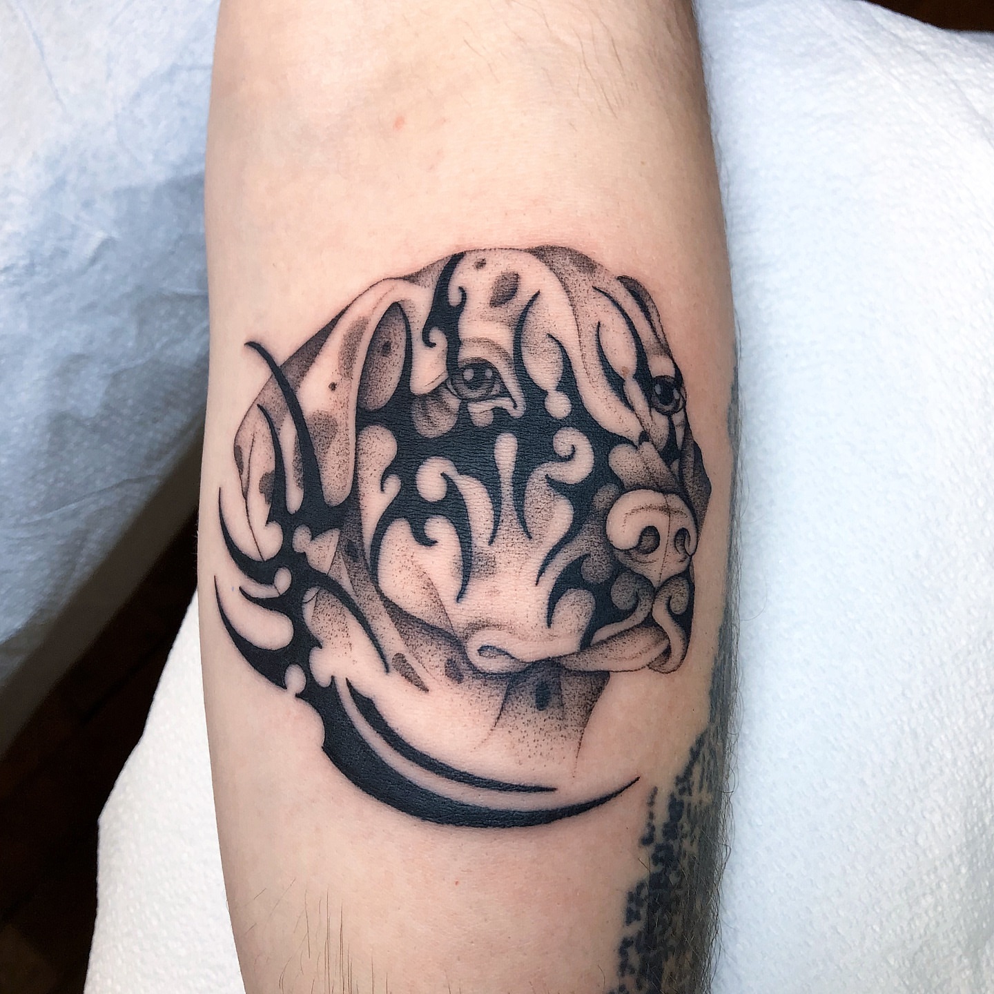 Dog head dotwork tattoo on the forearm by Mickey