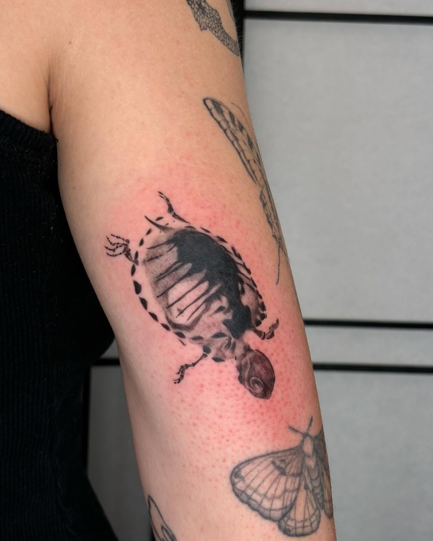 Turtle black and grey tattoo on the forearm by sanjai