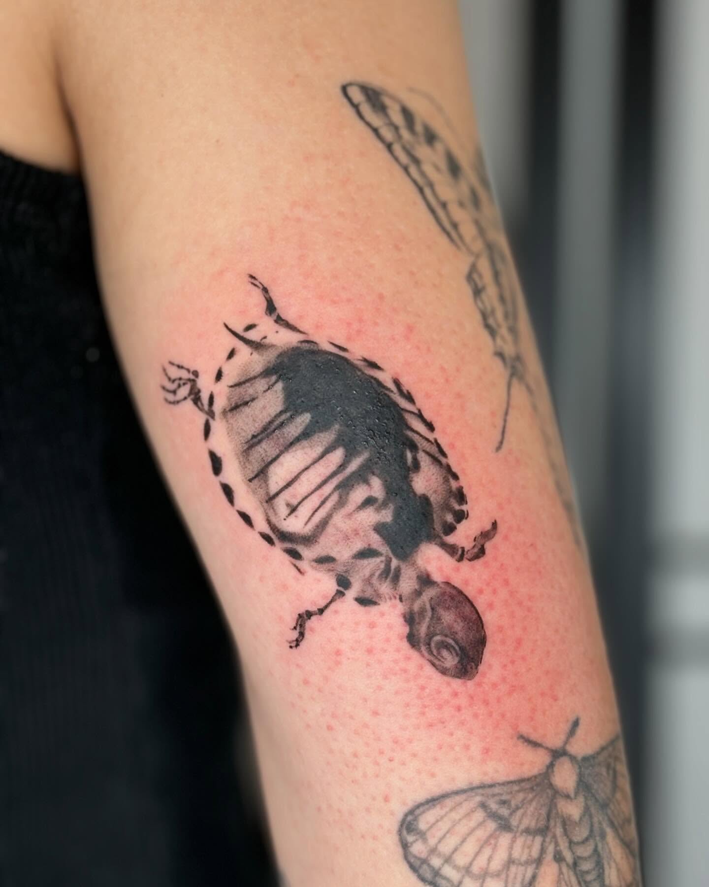 Turtle black and grey tattoo on the forearm by sanjai