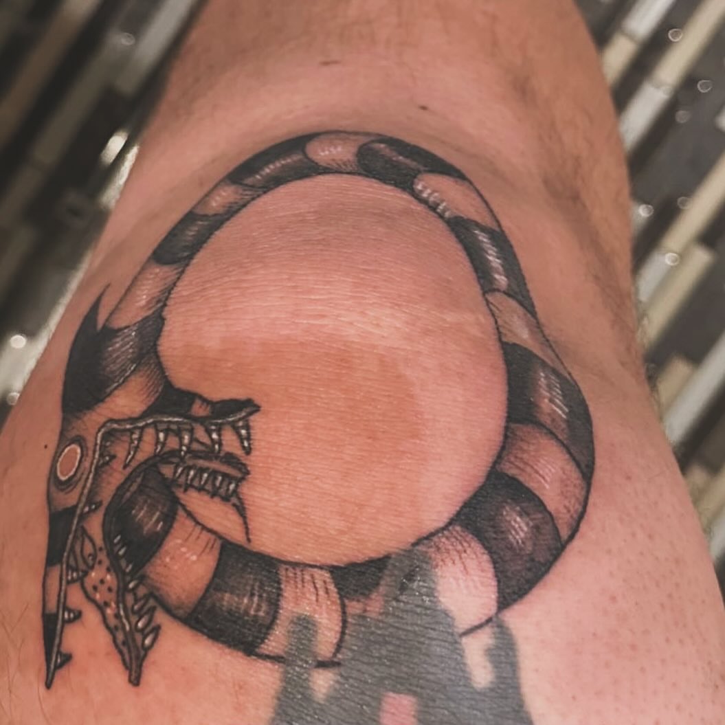 Snake black and grey tattoo on the forearm by Kyle Haitch, Las Vegas, Nevada