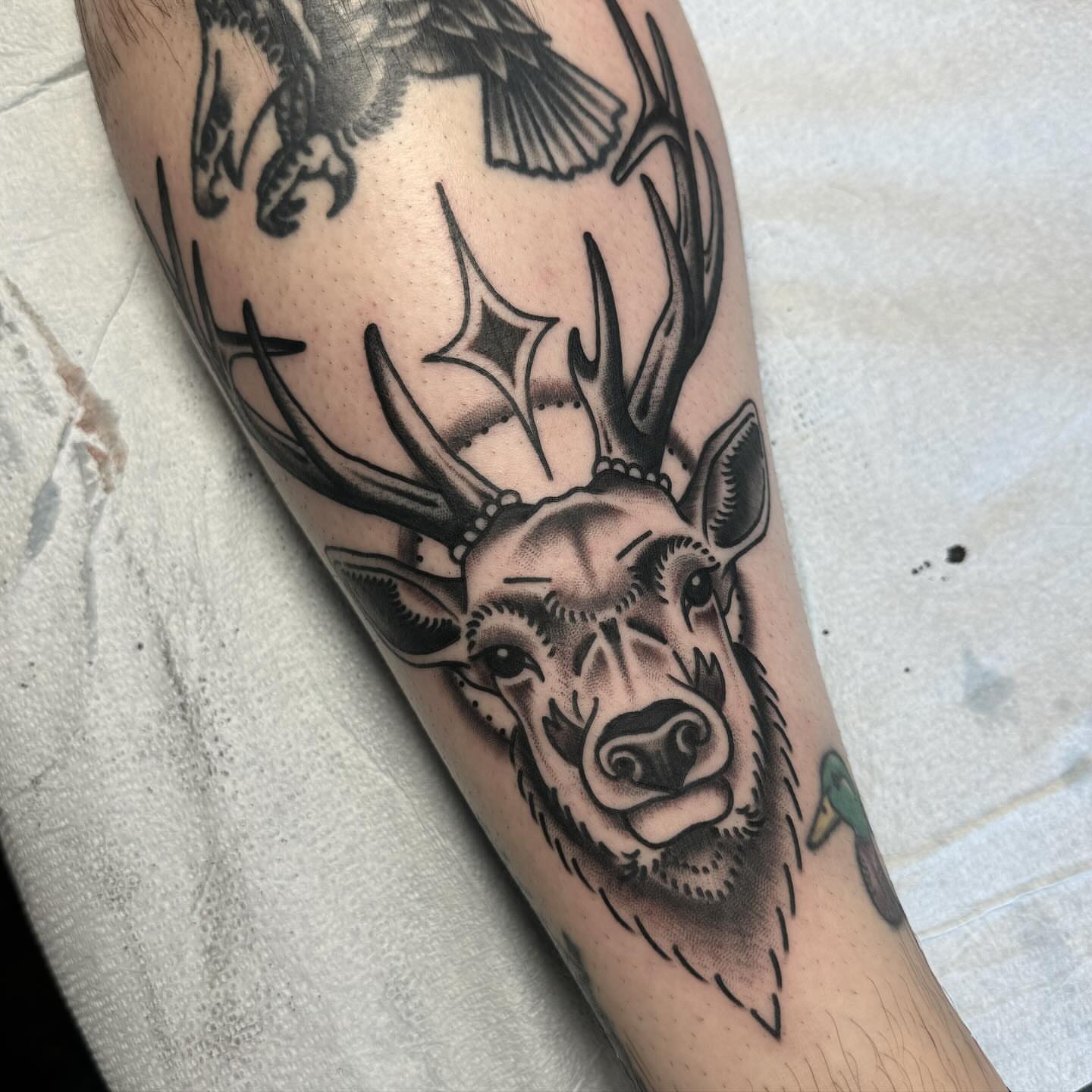 Deer head realism tattoo on the forearm by Ethan Bennett