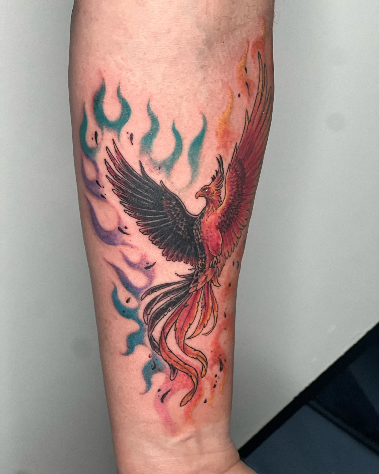 Phoenix watercolor tattoo on the forearm by Vincent C DiBiaso, Covington, Kentucky