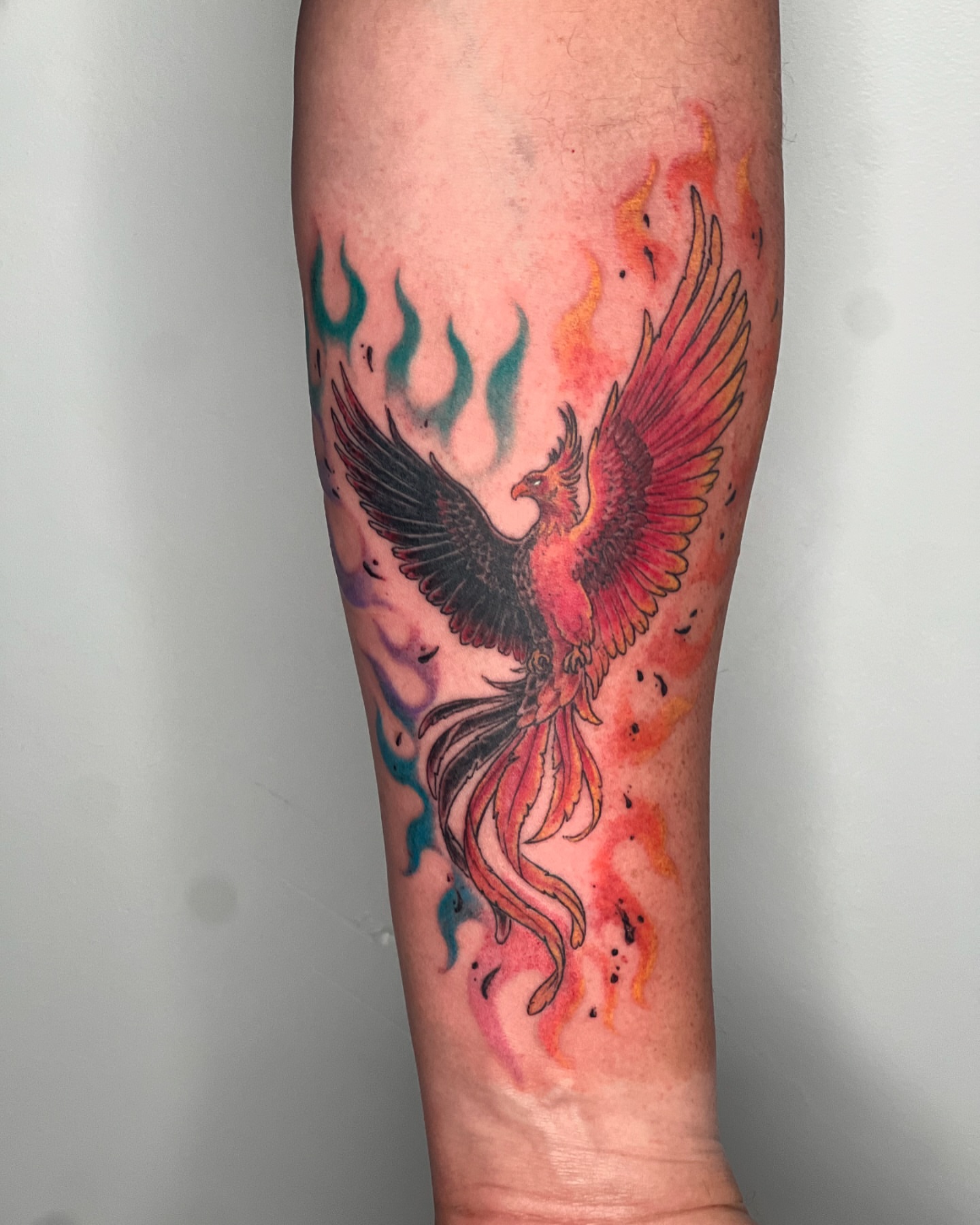 Phoenix watercolor tattoo on the forearm by Vincent C DiBiaso, Covington, Kentucky