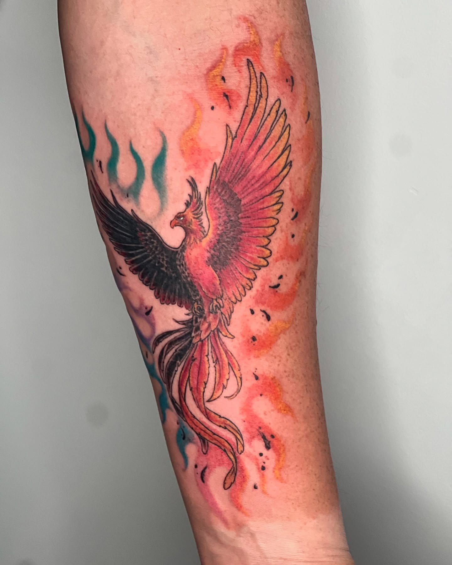 Phoenix watercolor tattoo on the forearm by Vincent C DiBiaso, Covington, Kentucky