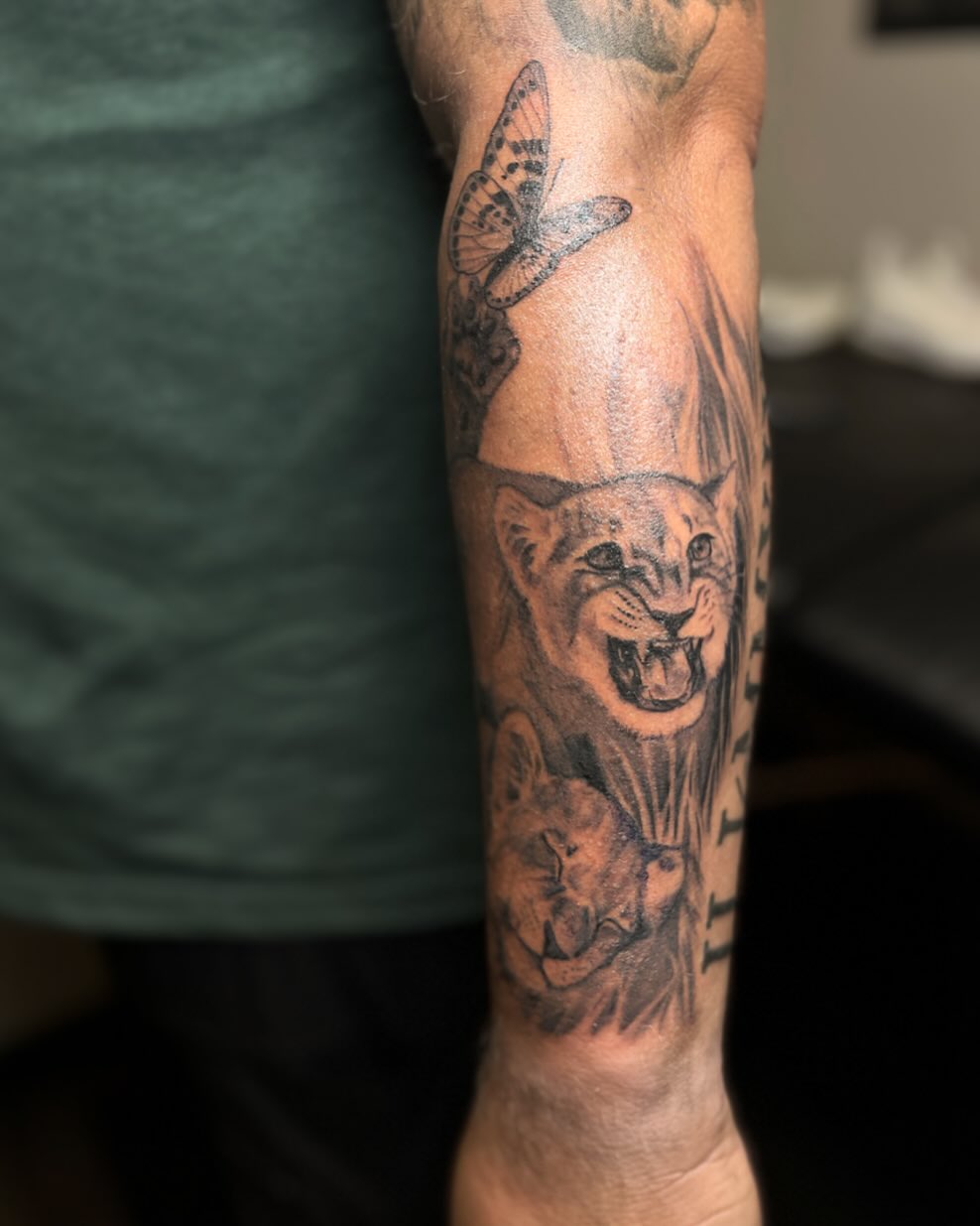 Mountain lion black and grey tattoo on the forearm by Katlyne Jones