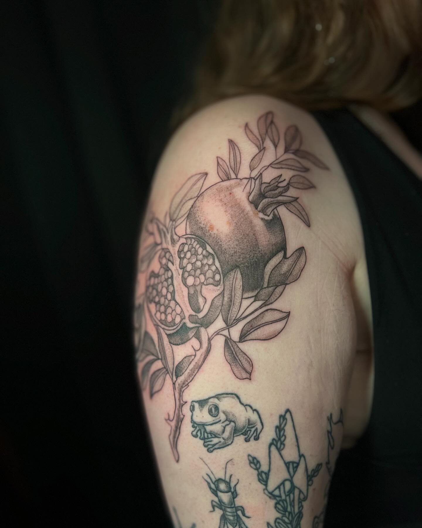 Pomegranate and frog black and grey tattoo on the shoulder by Daphne Landry