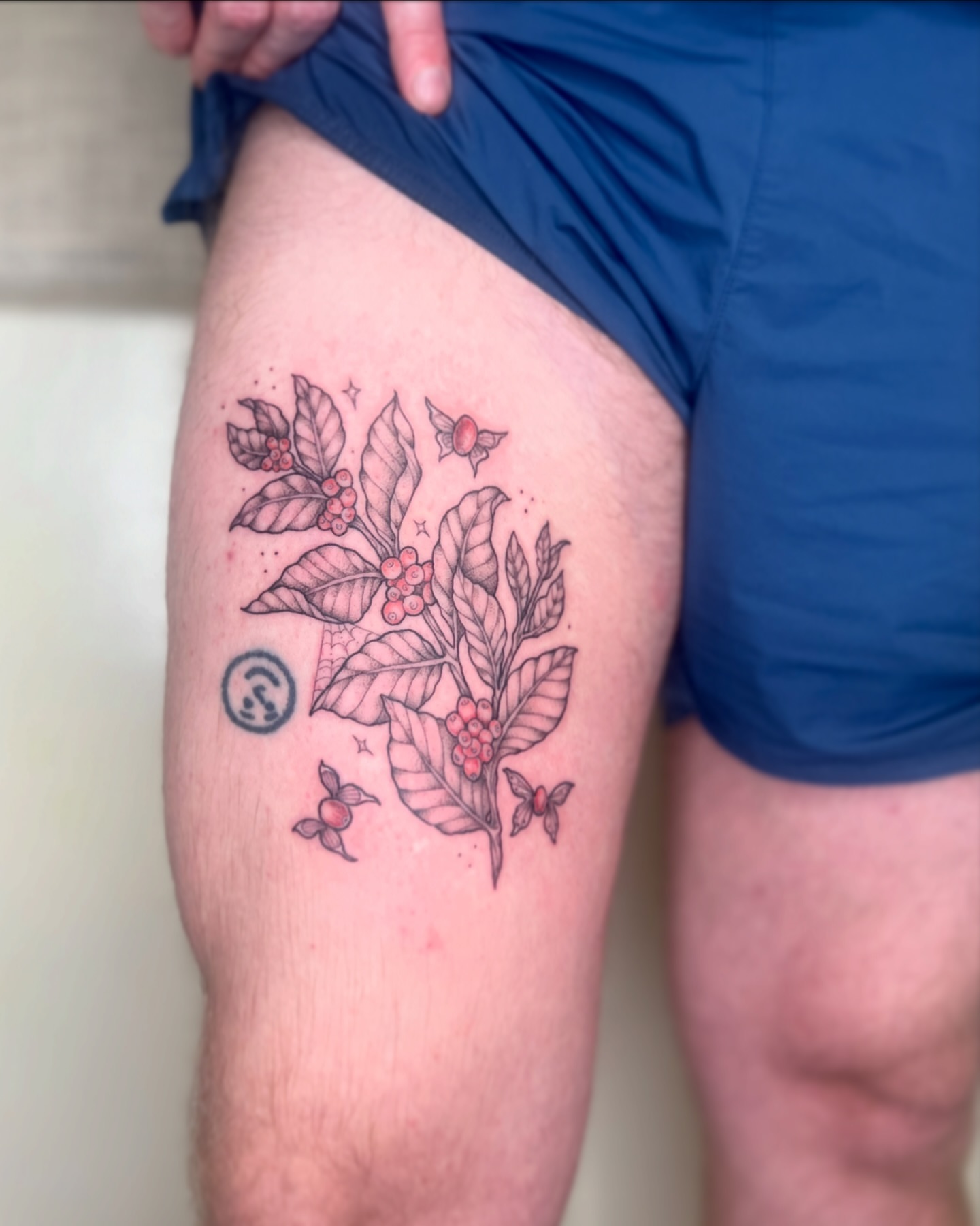 Coffee plant black and grey tattoo on the thigh by Kelsi Hooper, Seattle, Washington