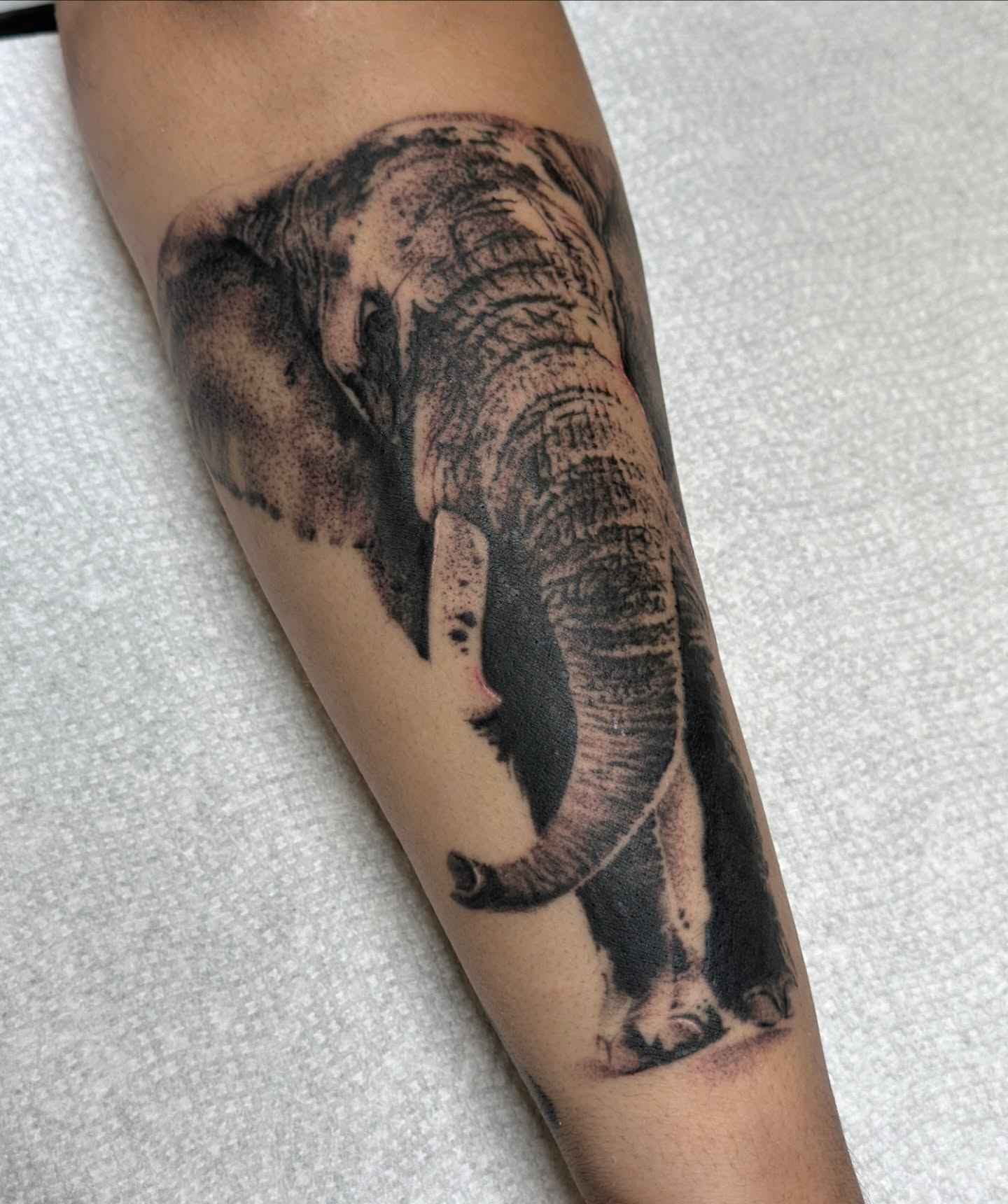 Tattoo by @beholds_ — dotwork