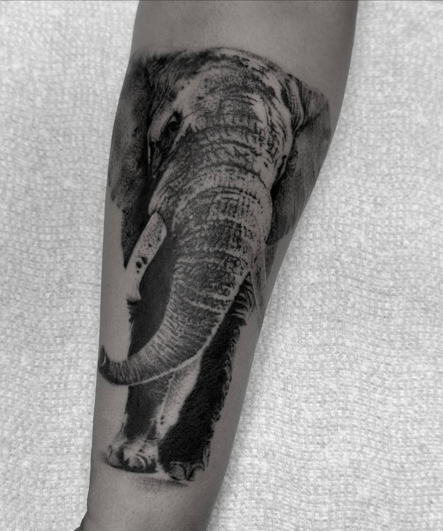Tattoo by @beholds_ — realism