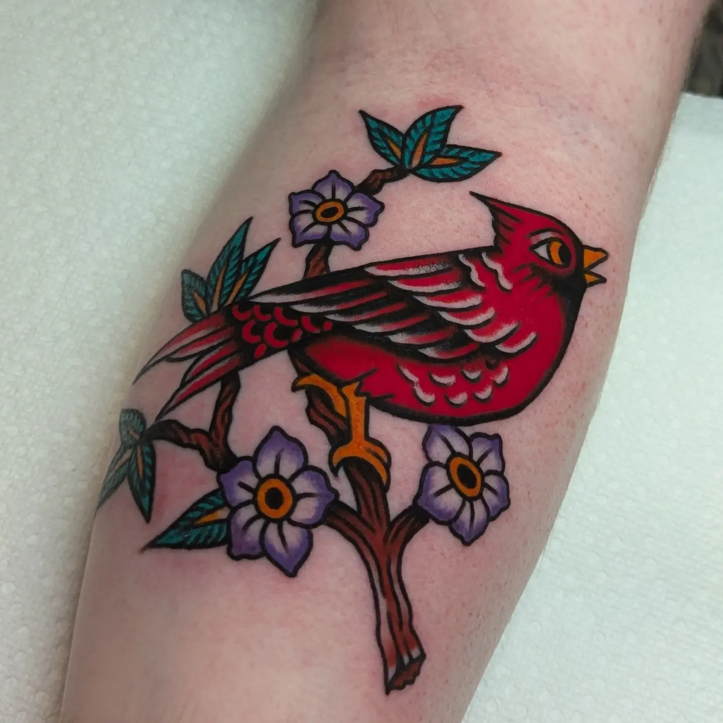 Red cardinal bird American traditional tattoo on the forearm by Zack Mueller