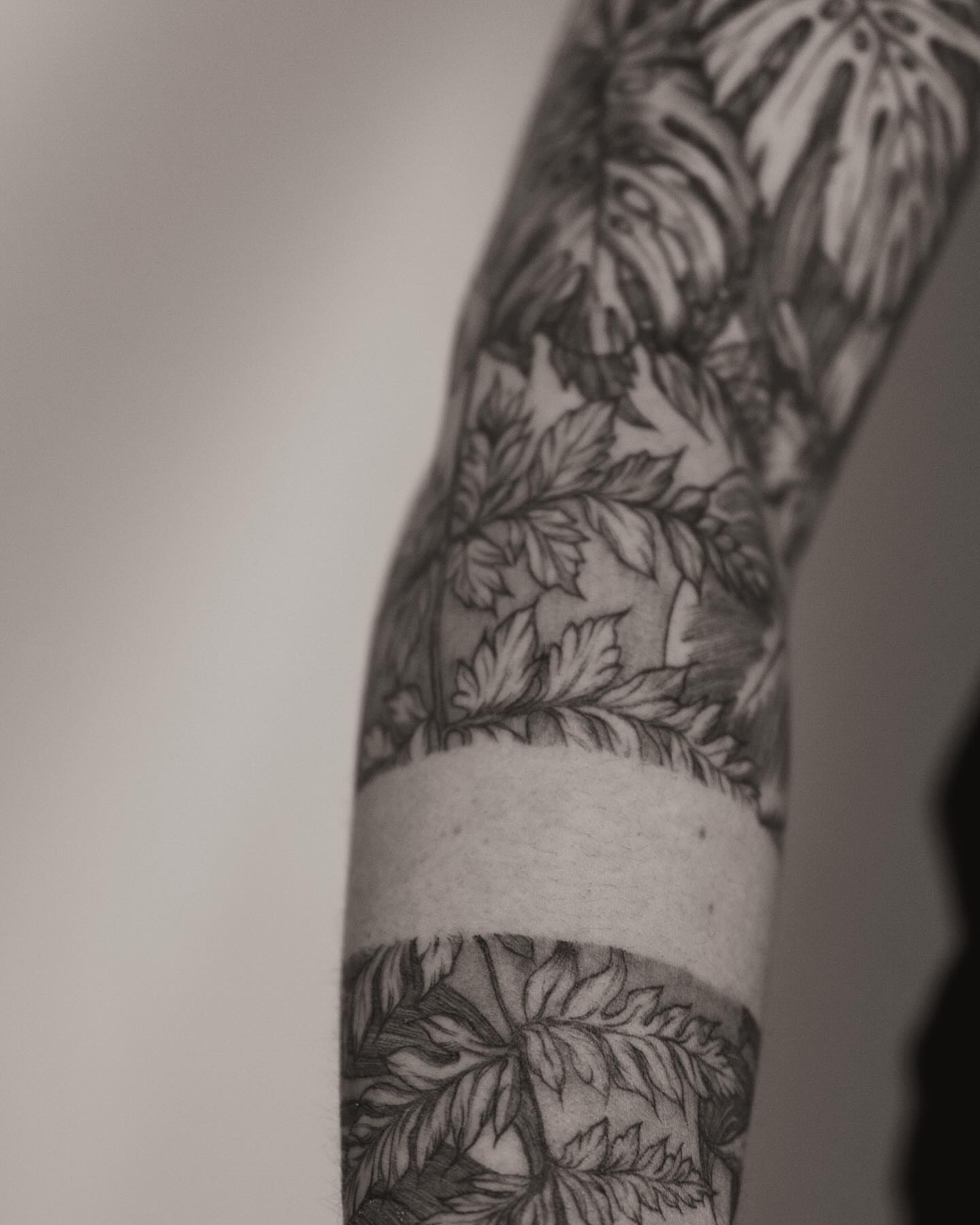 Tattoo by @seraphim.fineline — black_and_grey