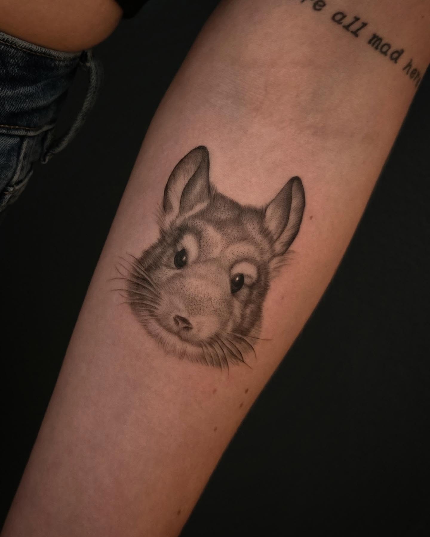 Chinchilla realism tattoo on the forearm by Lynx, Cincinnati, Ohio