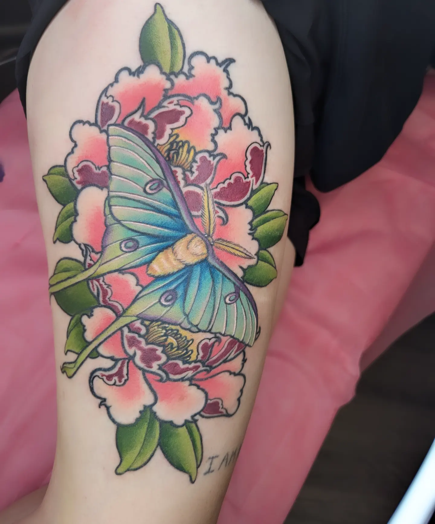 Tattoo by @harley_makes_tattoos — american_traditional