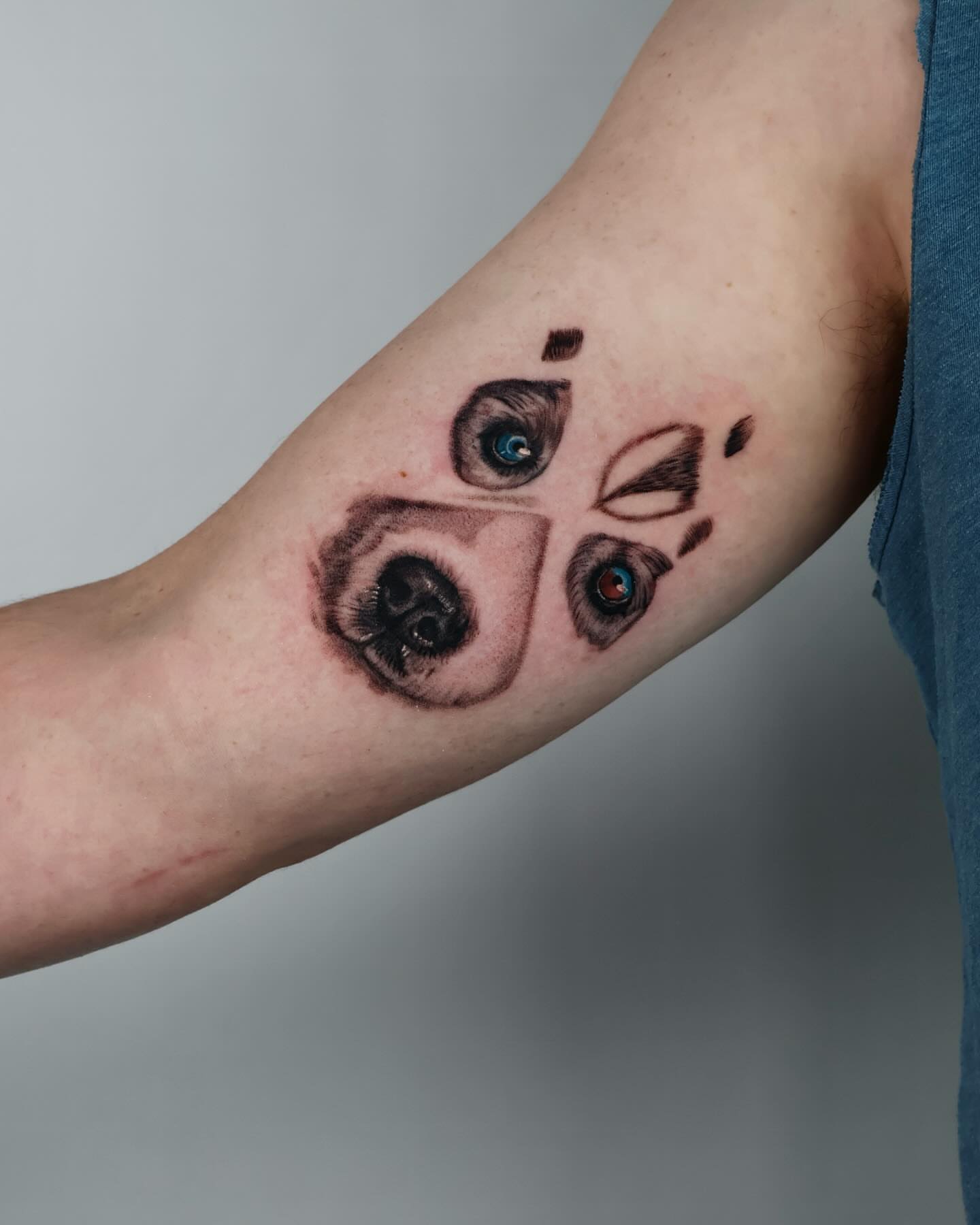 Dog paw and eyes realism tattoo on the forearm by Stephanie Pedraza