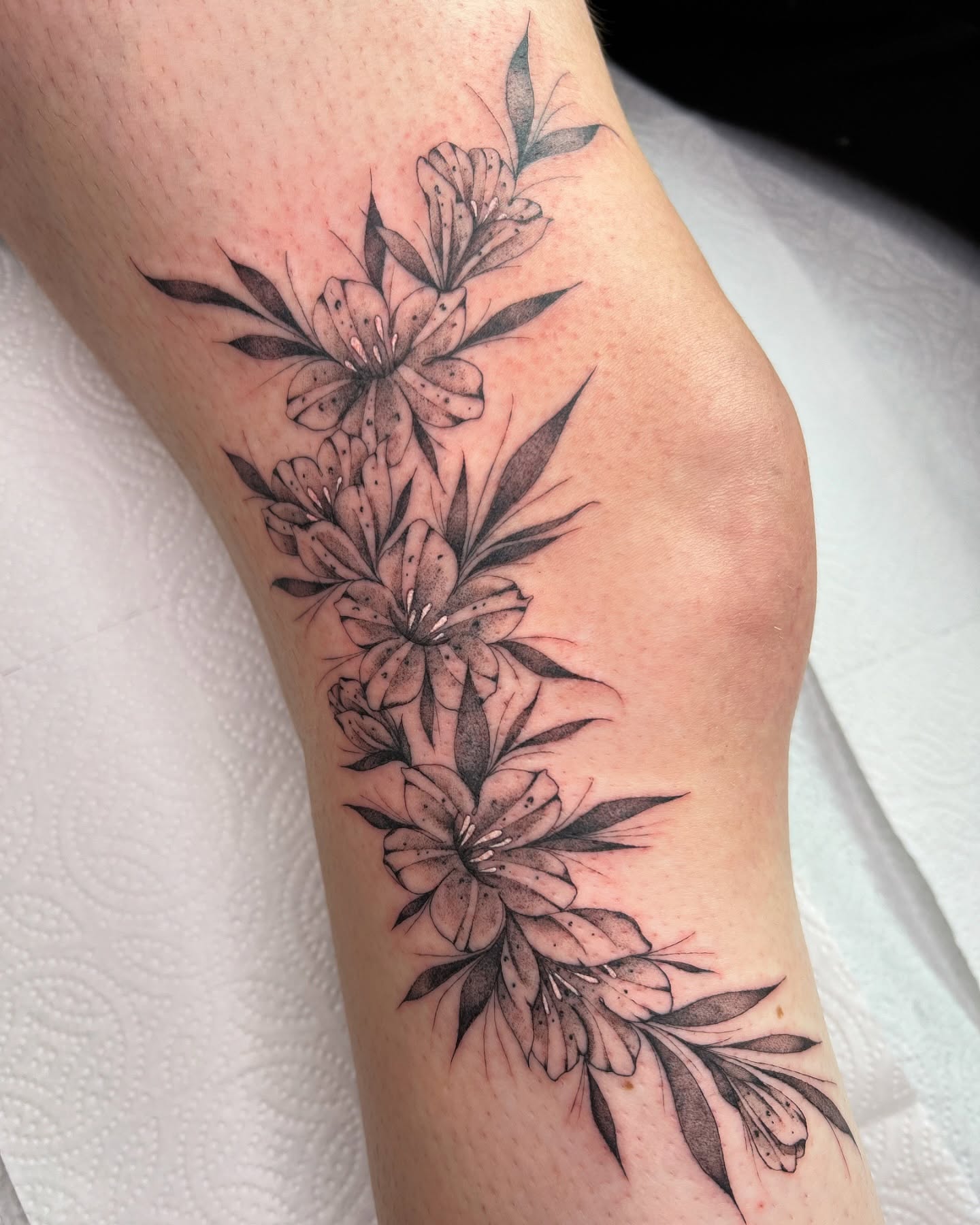 Tattoo by @courtneylloydtattoos — dotwork, black_and_grey