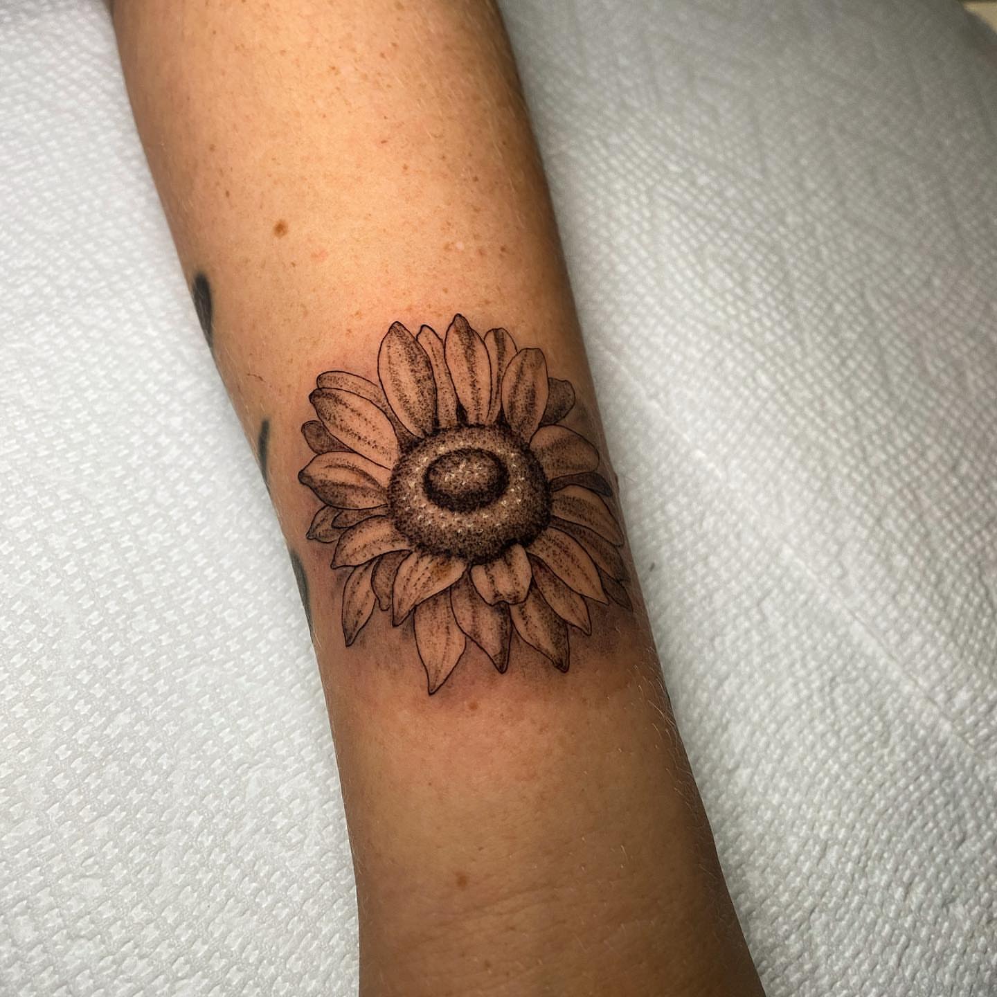 Sunflower dotwork tattoo on the forearm by ⛓Ireland tattoo⛓