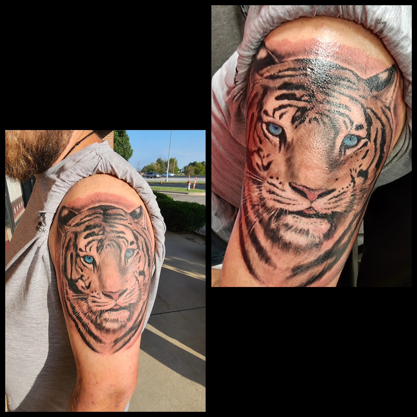 Tiger realism tattoo on the shoulder by @thedevilspaintbrush_
