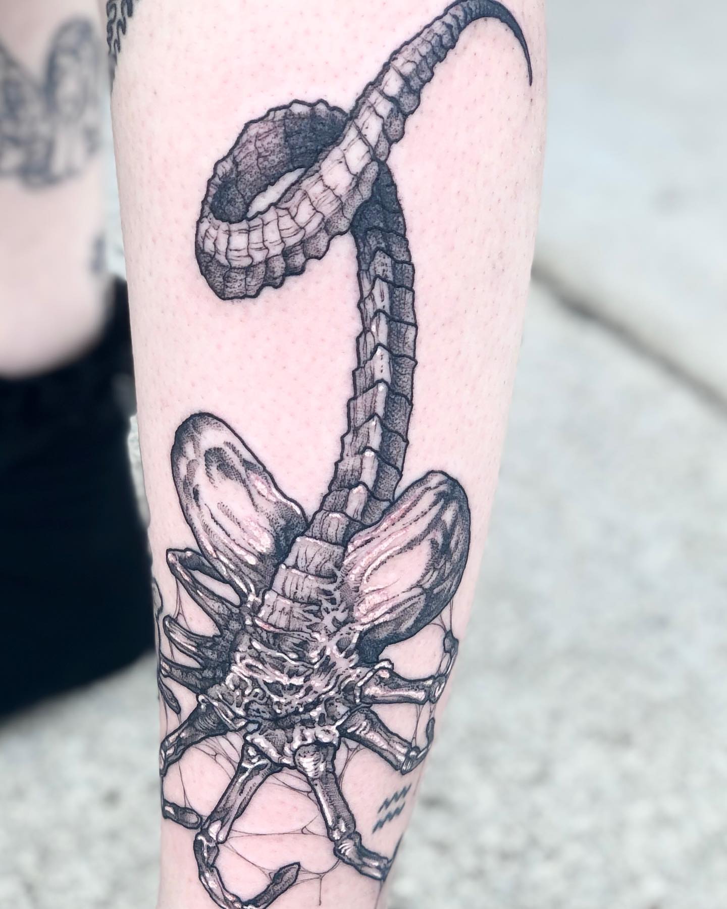 Scorpion realism tattoo on the forearm by Aaron Borden