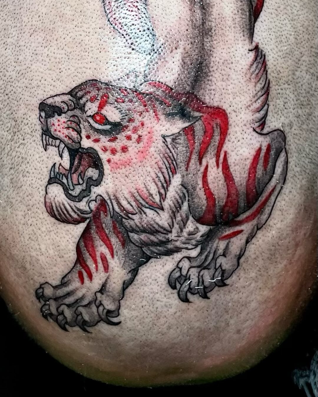 Roaring tiger American traditional tattoo on the thigh by Tattoo Artist