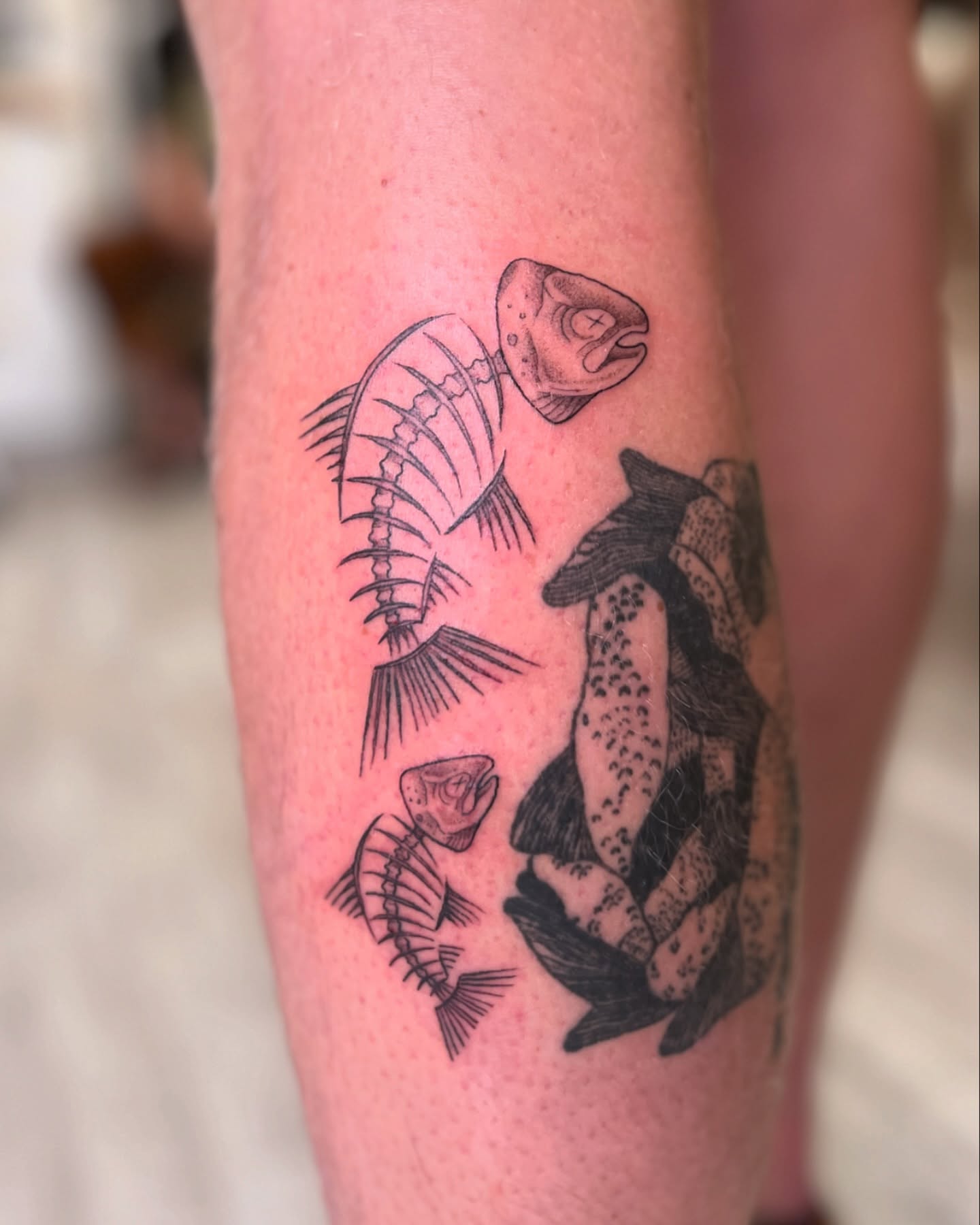 Fish skeleton black and grey tattoo on the forearm by Kelsi Hooper, Seattle, Washington