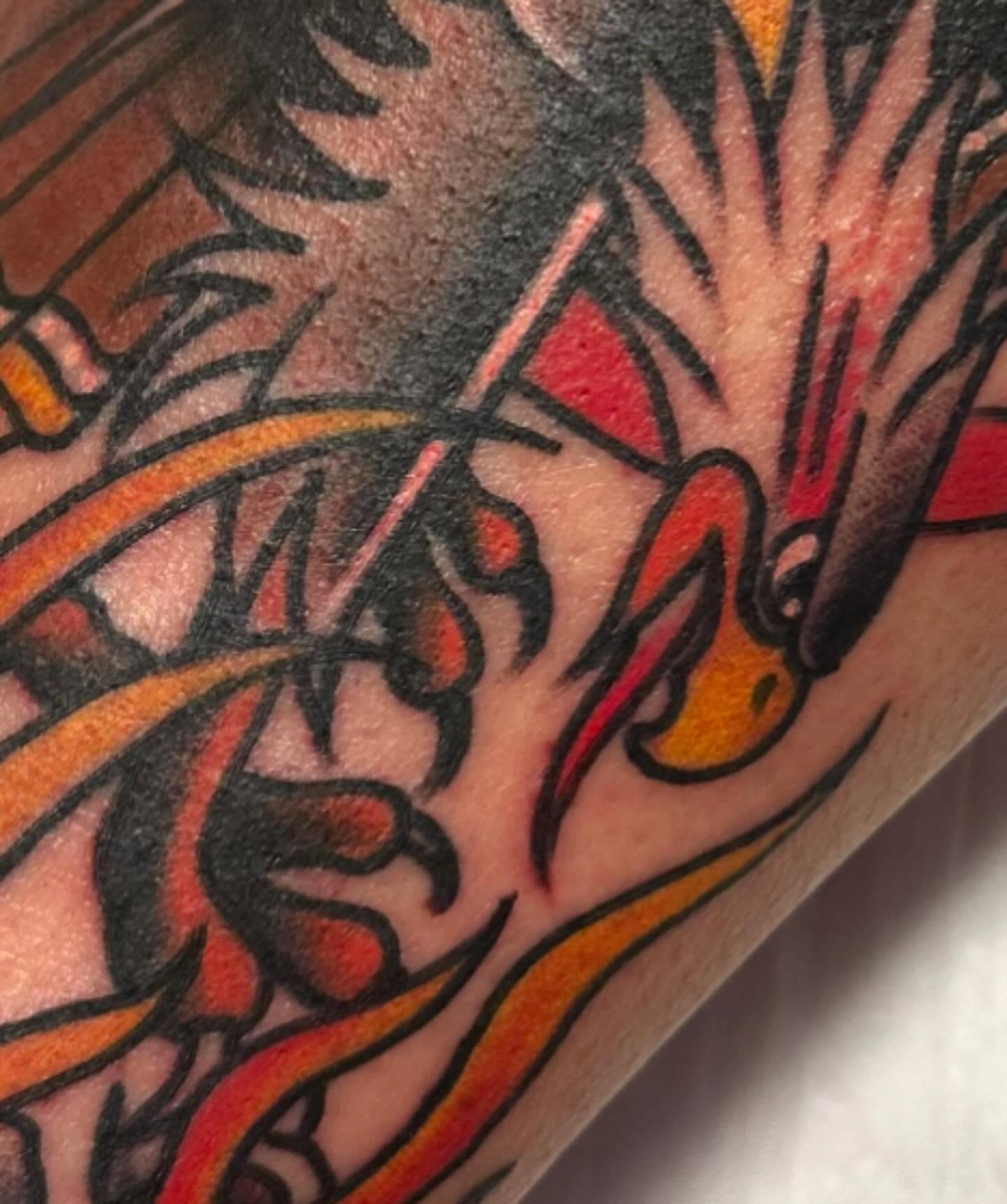 Flaming phoenix American traditional tattoo on the forearm by Jenni Hand - Tattoo, Maryville, Tennessee