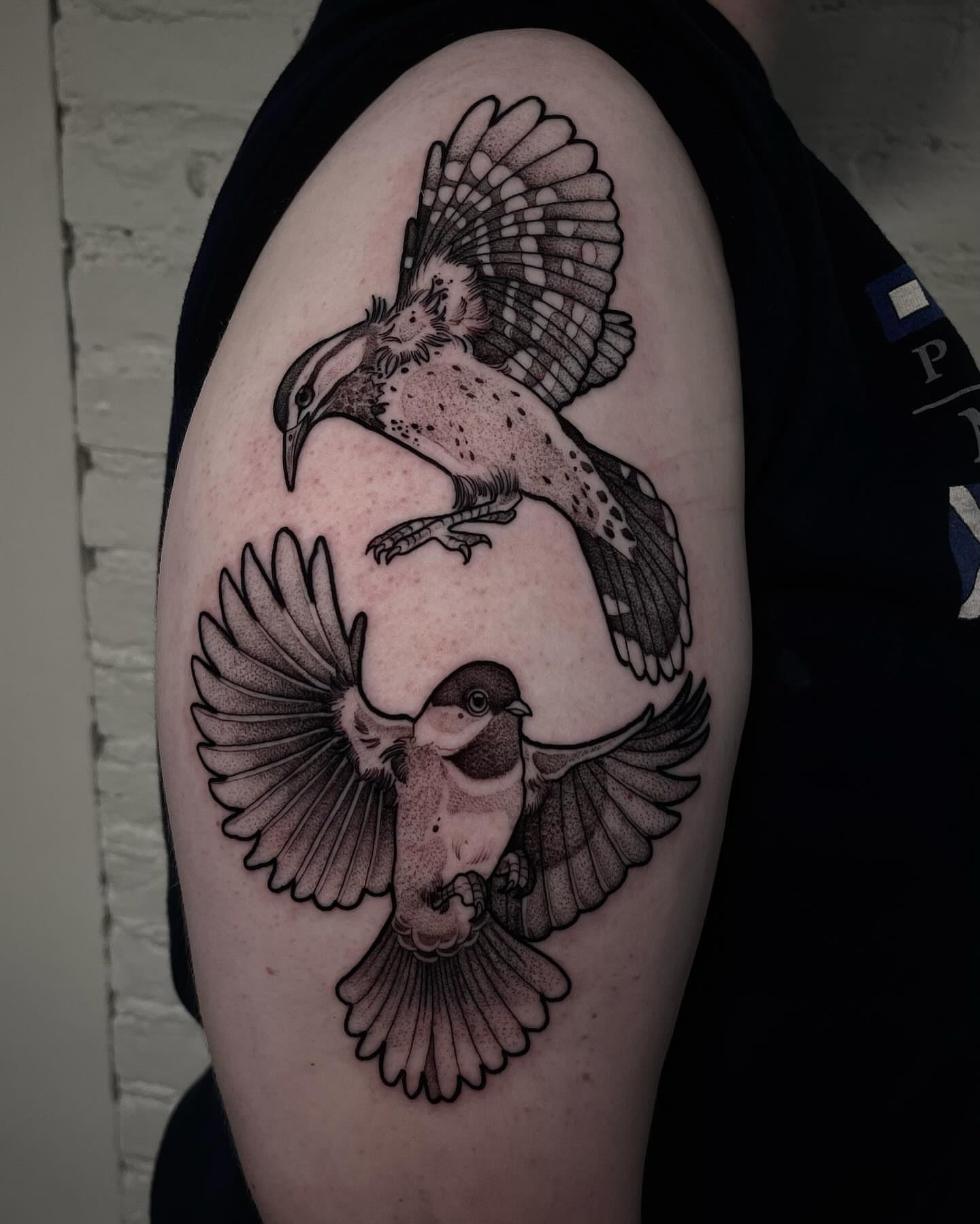 Birds dotwork tattoo on the shoulder by H A N N A H, Colorado Springs, Colorado