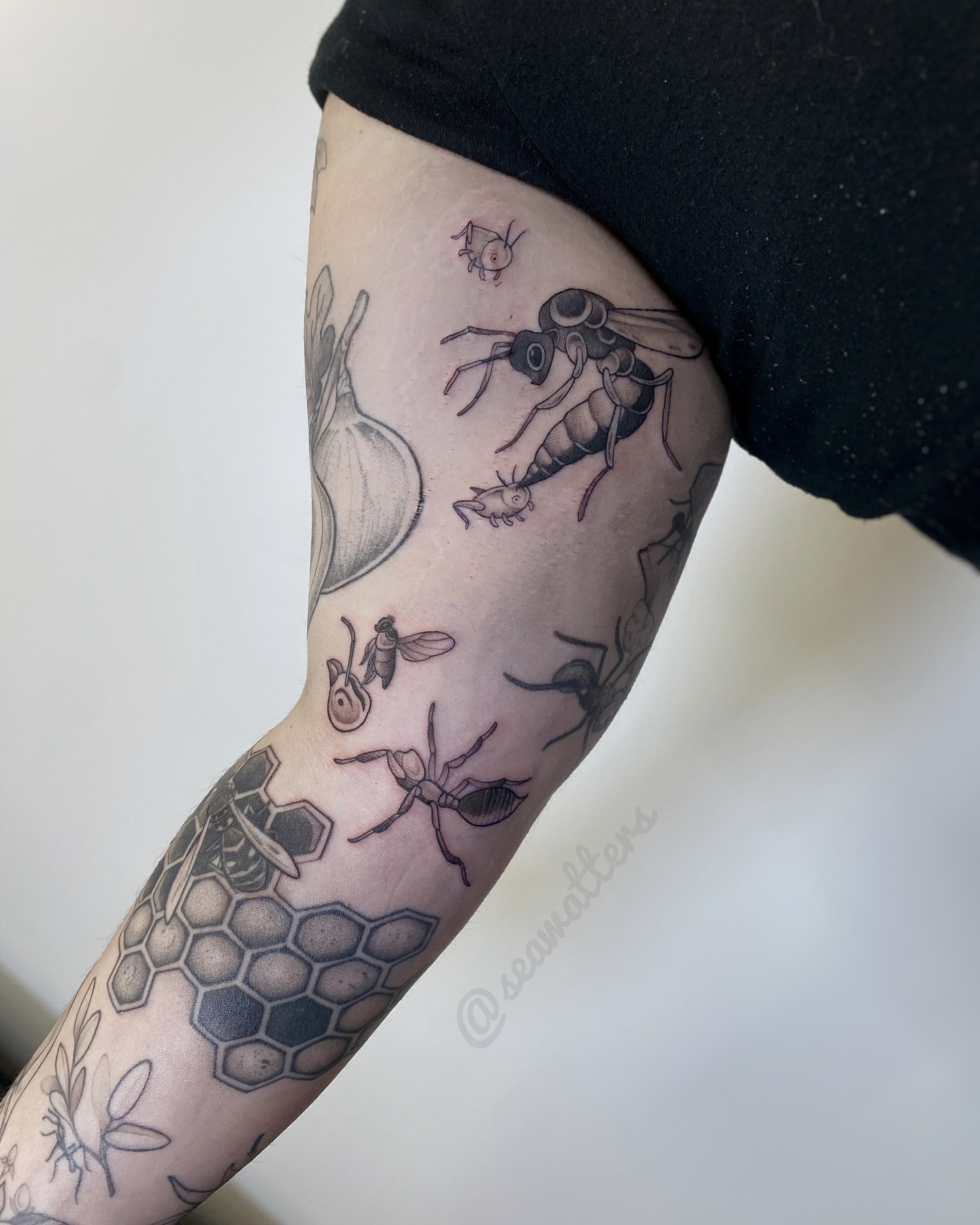 Insects and honeycomb black and grey tattoo on the forearm by Caitlin Watters