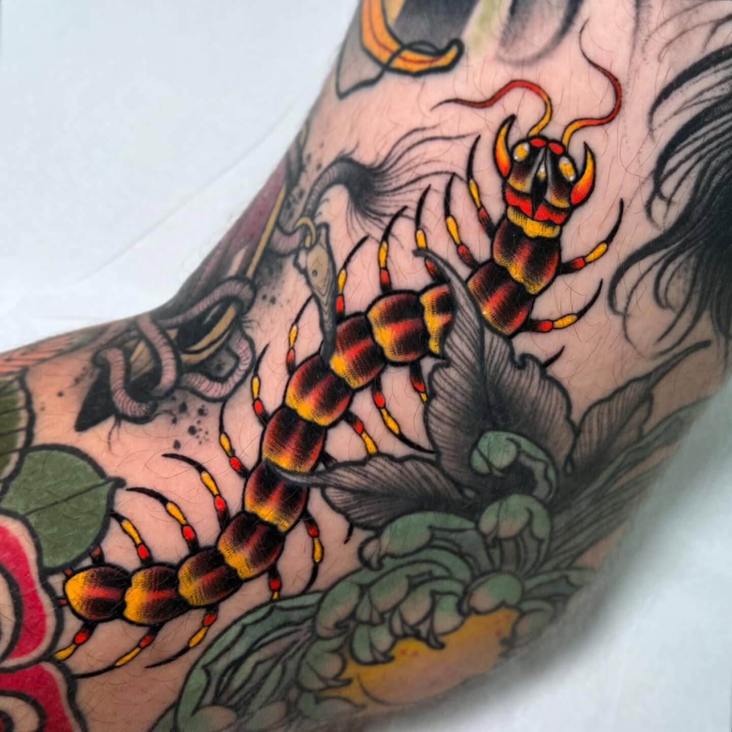 Centipede American traditional tattoo on the forearm by Patrick Whiting