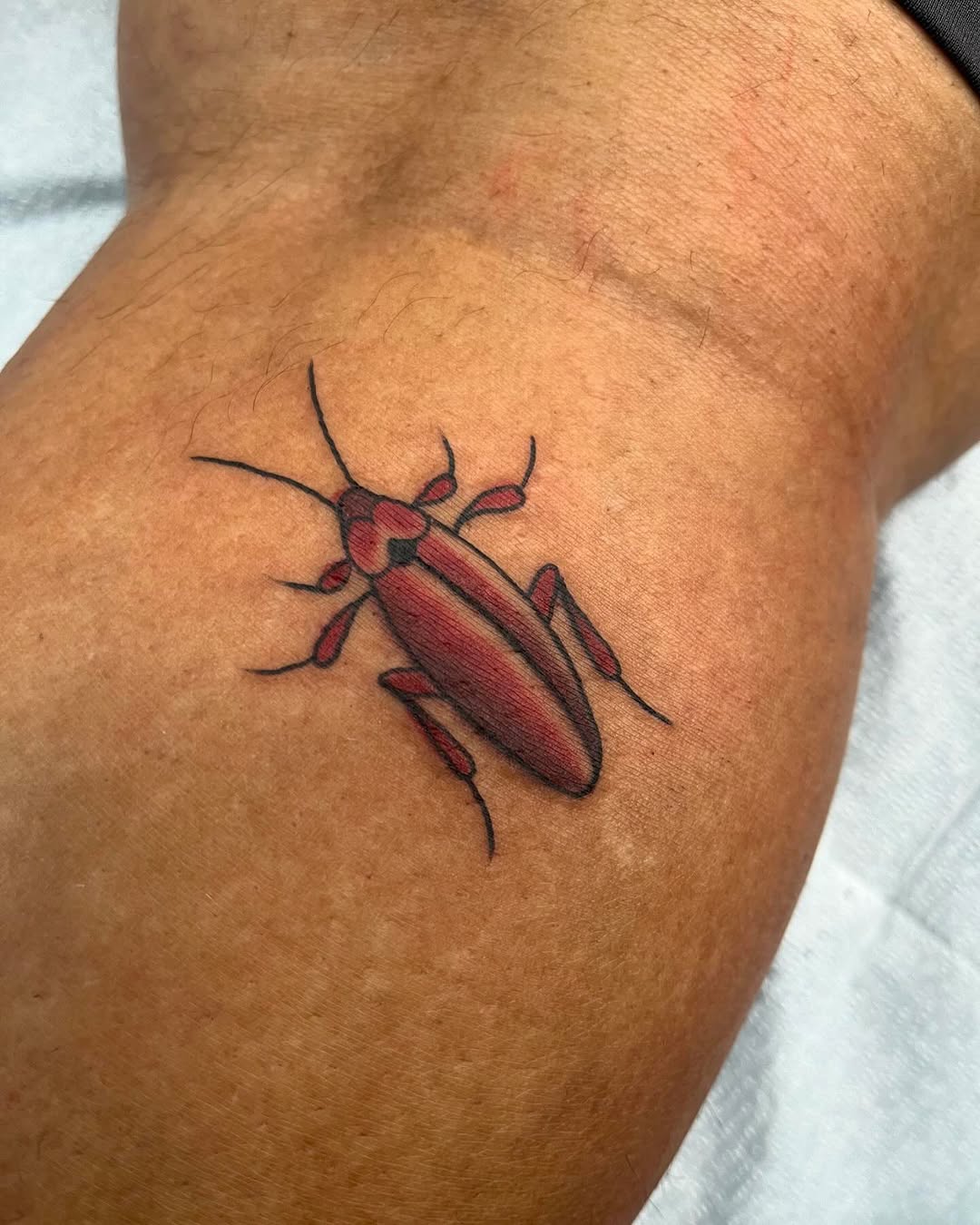 Tattoo by @brianna.jo.tattoos — american_traditional