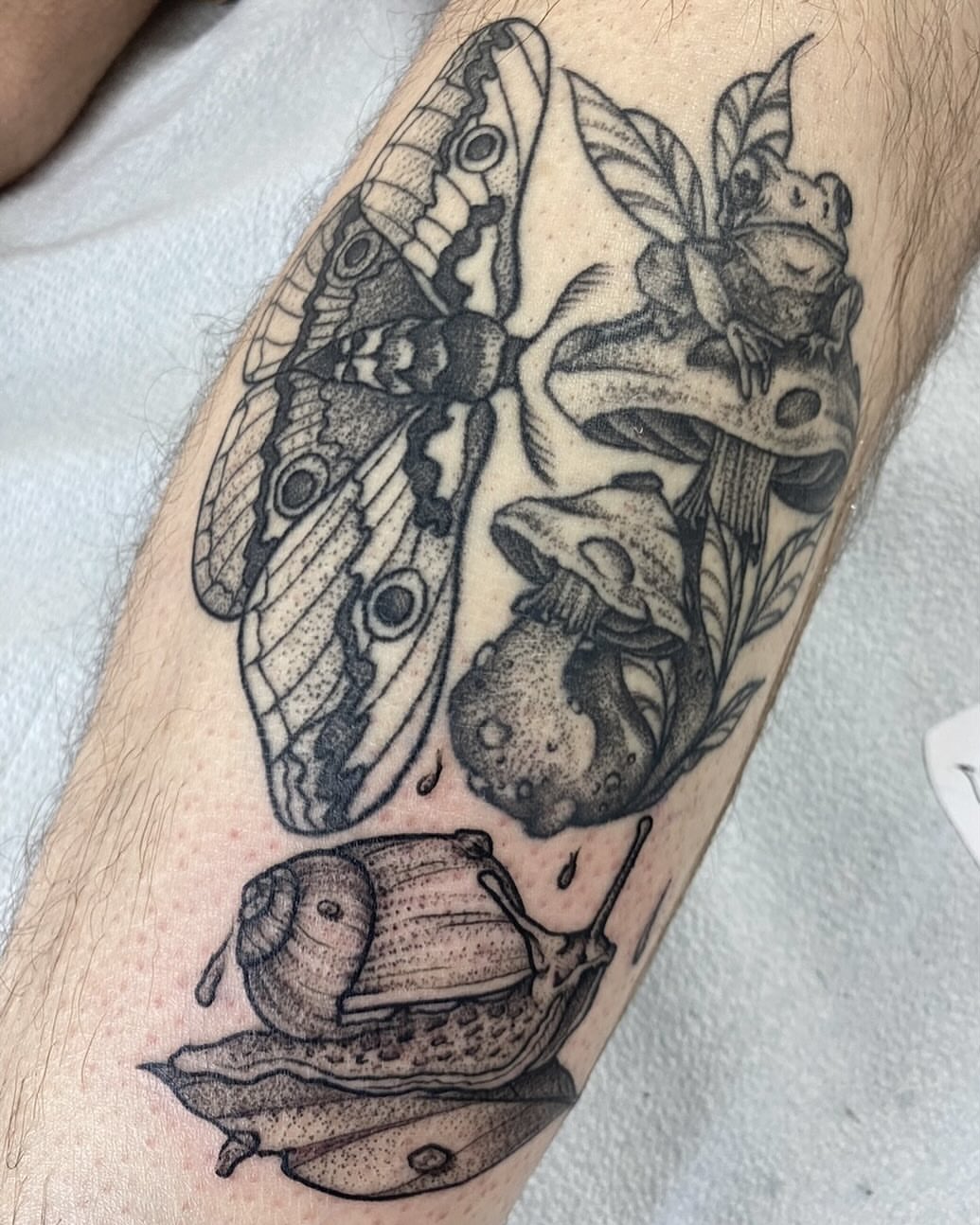 Butterfly, frog, snail, mushroom dotwork tattoo on the forearm by Taya Lynn, Hudson, Wisconsin