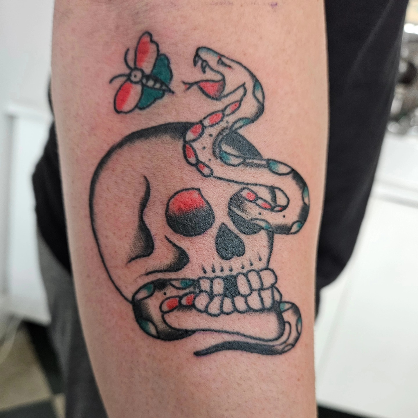 Skull with snake and butterfly American traditional tattoo on the forearm by David Nash, Evansville, Indiana