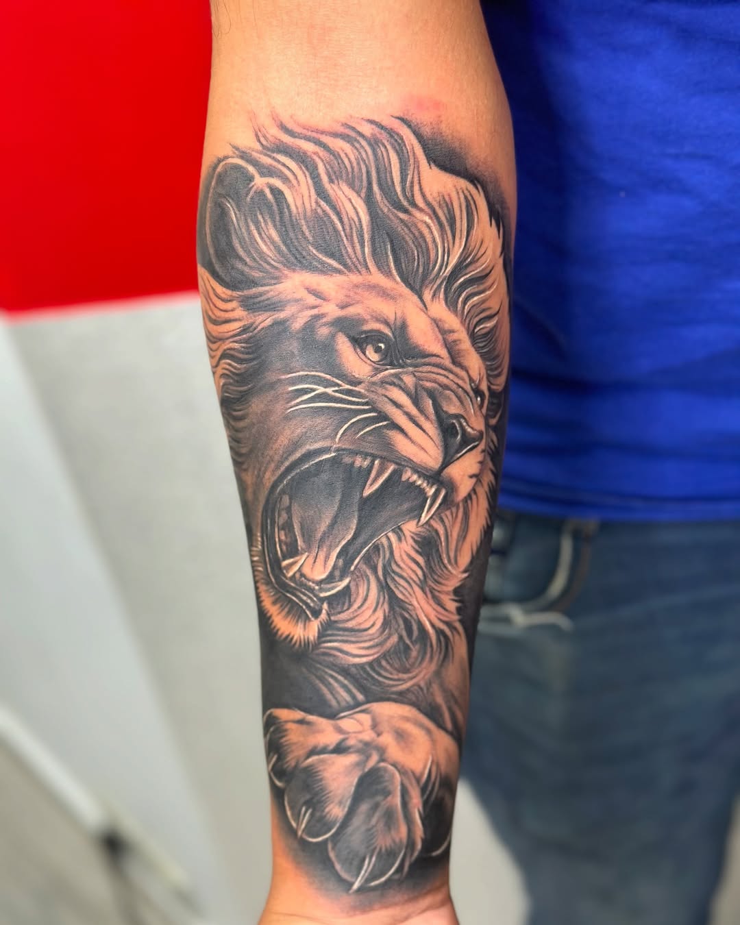 Roaring lion realism tattoo on the forearm by guinn_art_tatts, Le Moule