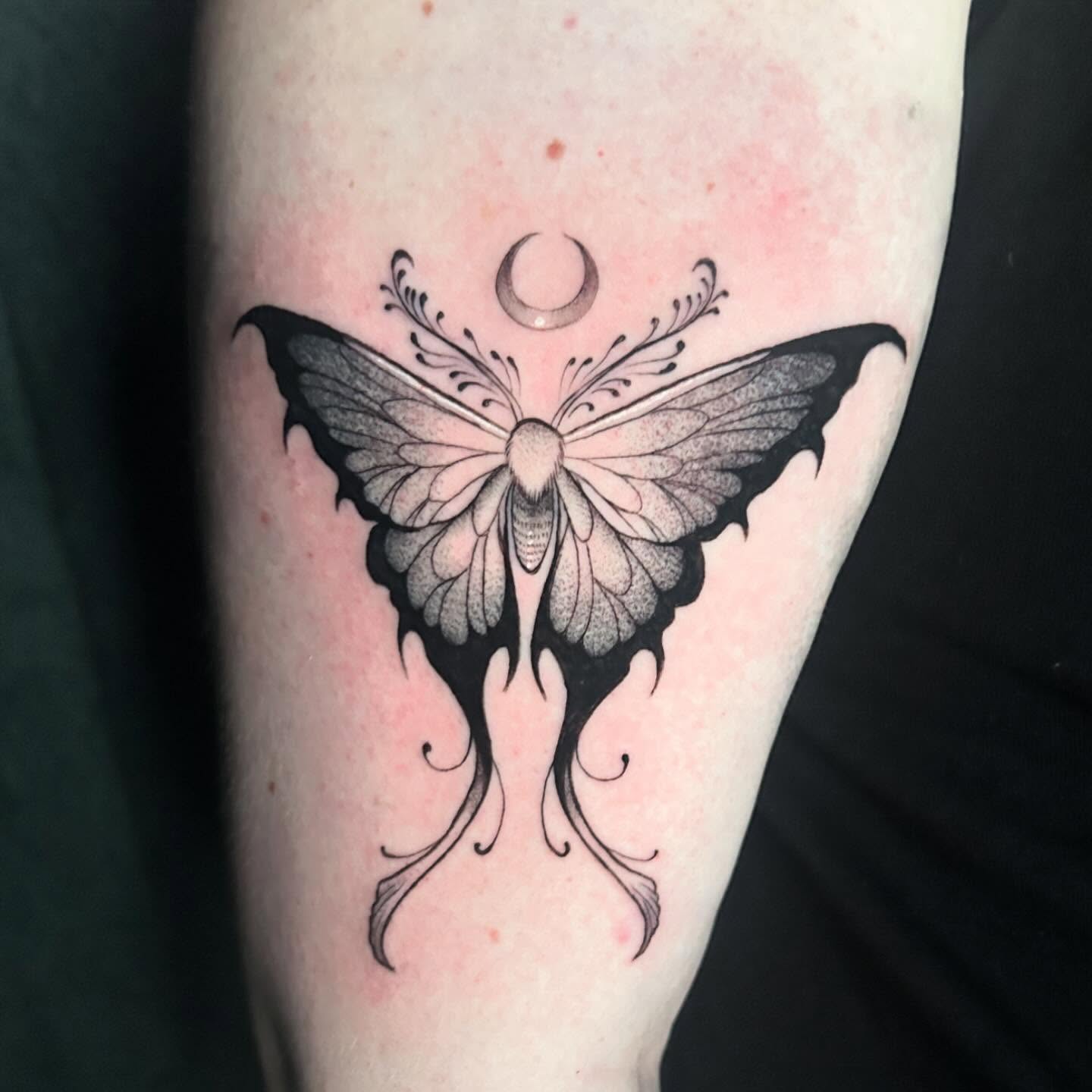 Butterfly black and grey tattoo on the forearm by ♡︎ Kaylie ♡︎, Tacoma, Washington