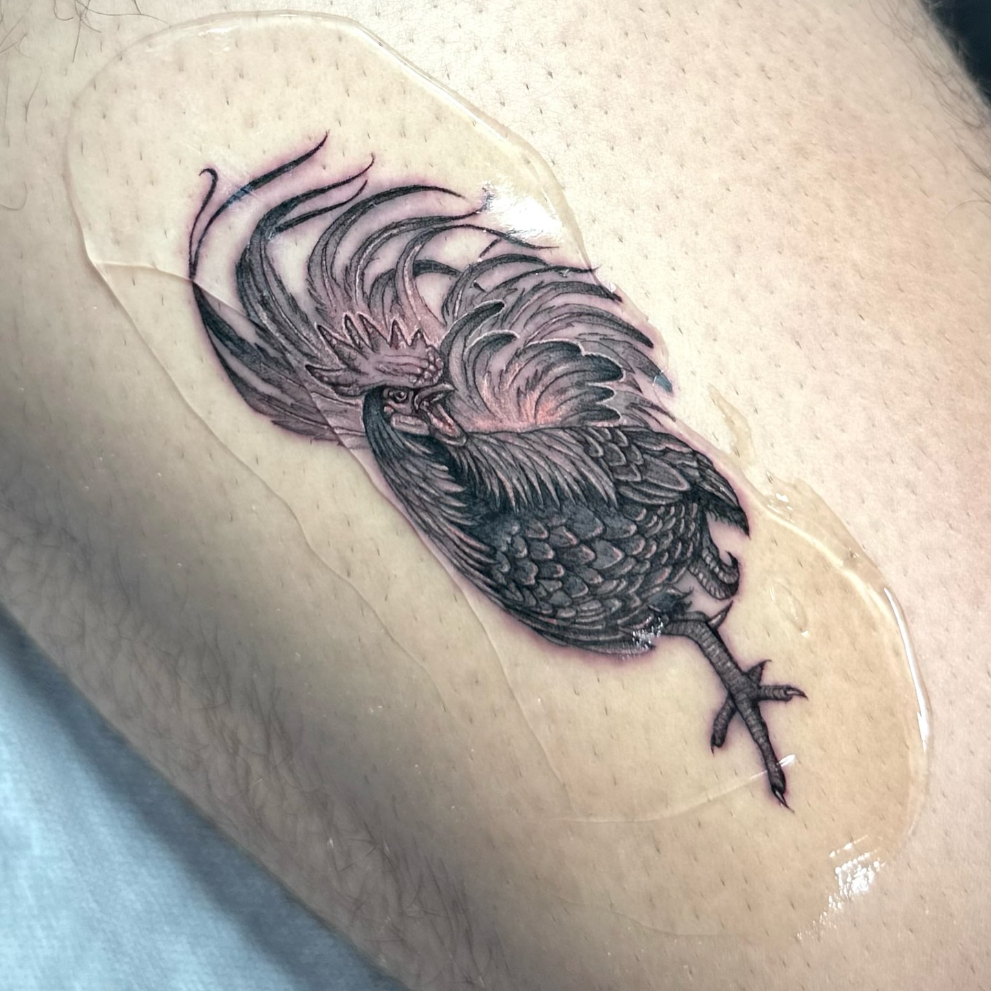Rooster black and grey tattoo on the thigh by Yaya Tattoos ✩ Fine Line Tattoos