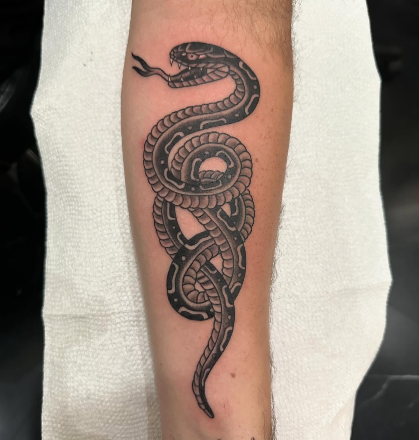 Snake black and grey tattoo on the forearm by 𝕯𝖗𝖊𝖜 𝕲𝖎𝖑𝖊𝖘 𝕵𝖆𝖙𝖙𝖔𝖔, Addison, Texas
