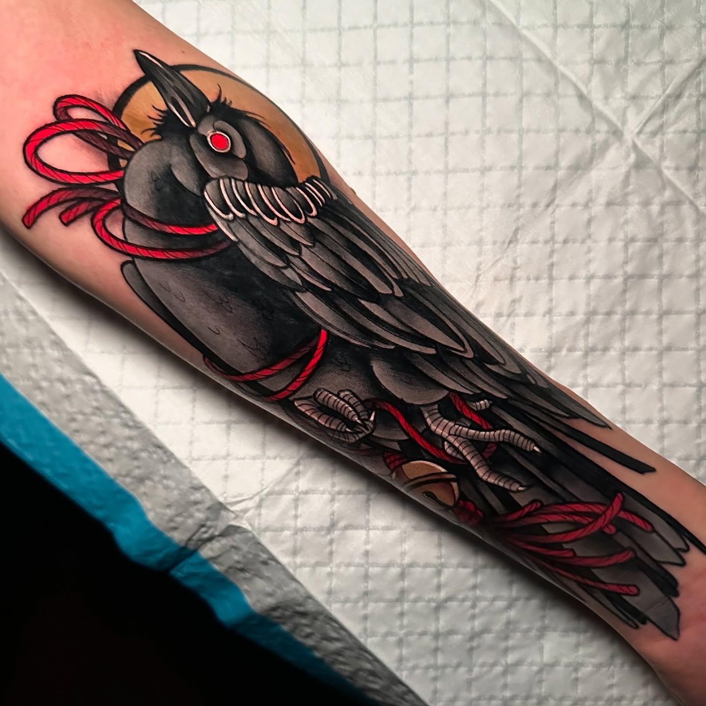 Crow American traditional tattoo on the forearm by gillian marie