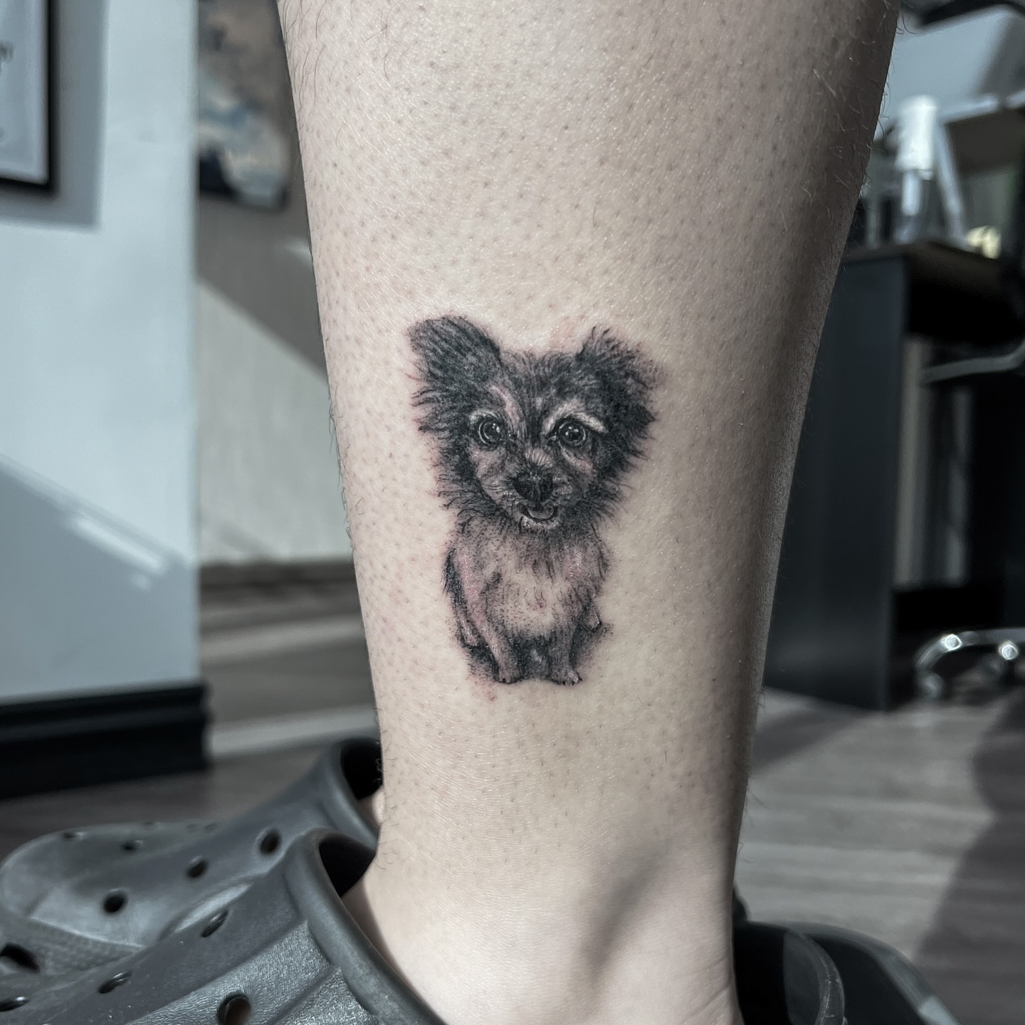 Dog realism tattoo on the forearm by Syd Cheyenne